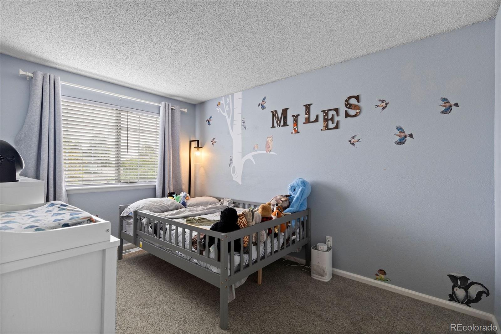 MLS Image #23 for 10565  hyacinth place,highlands ranch, Colorado