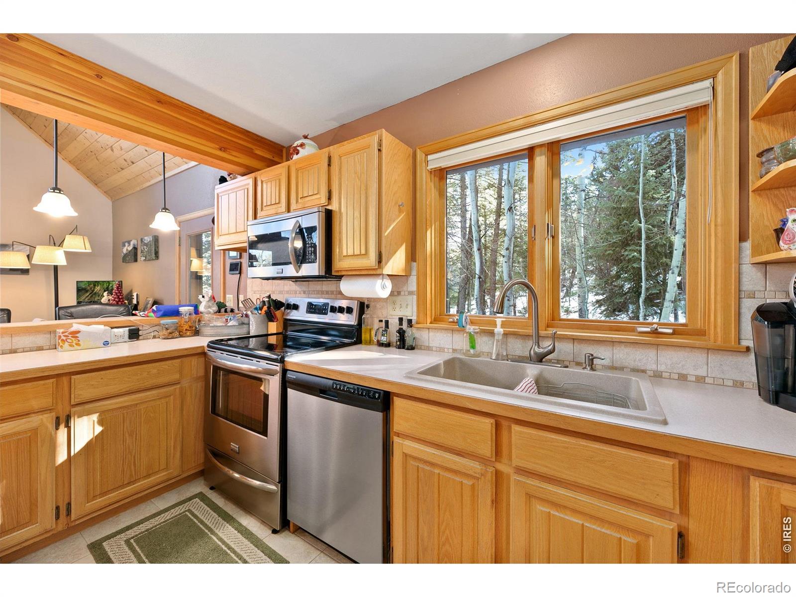 MLS Image #11 for 1655  black squirrel drive,estes park, Colorado