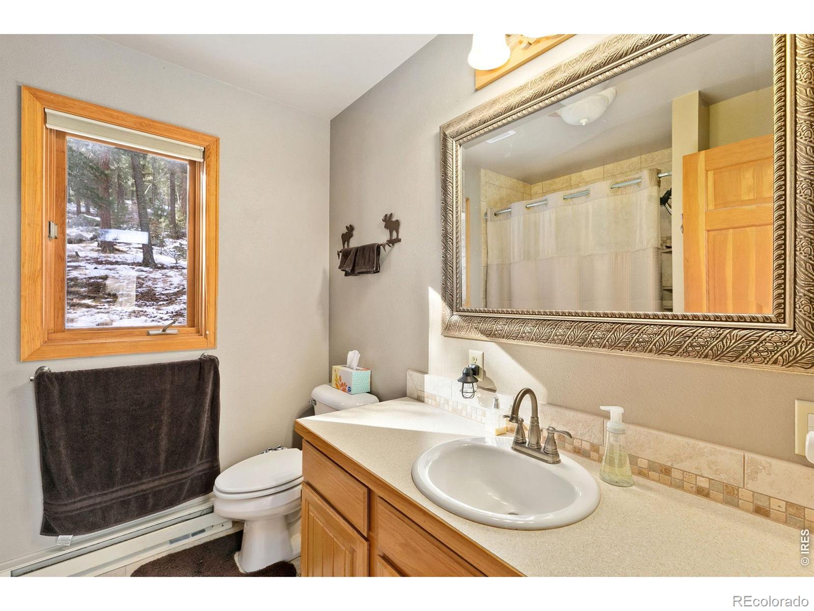 MLS Image #13 for 1655  black squirrel drive,estes park, Colorado