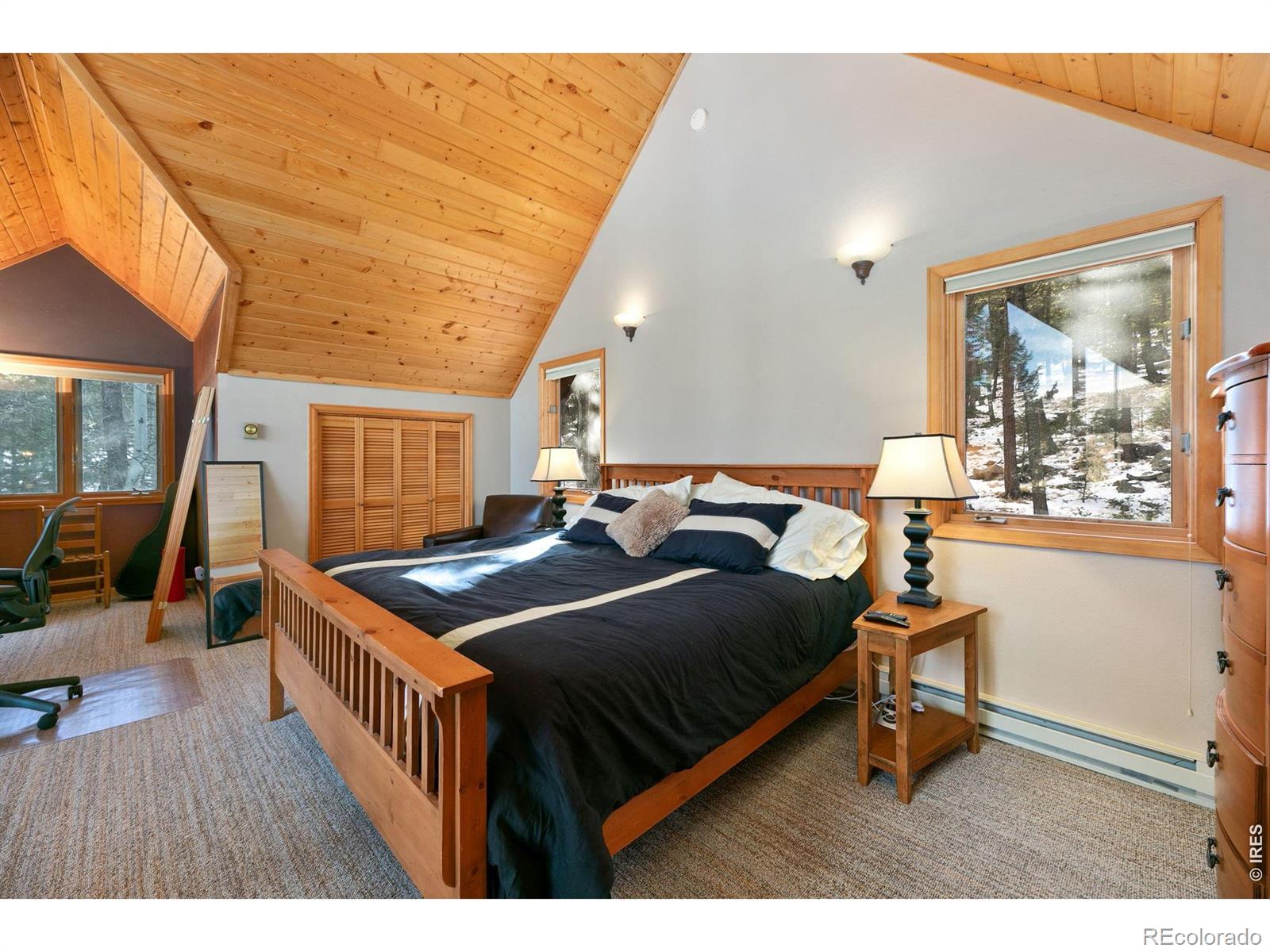 MLS Image #16 for 1655  black squirrel drive,estes park, Colorado