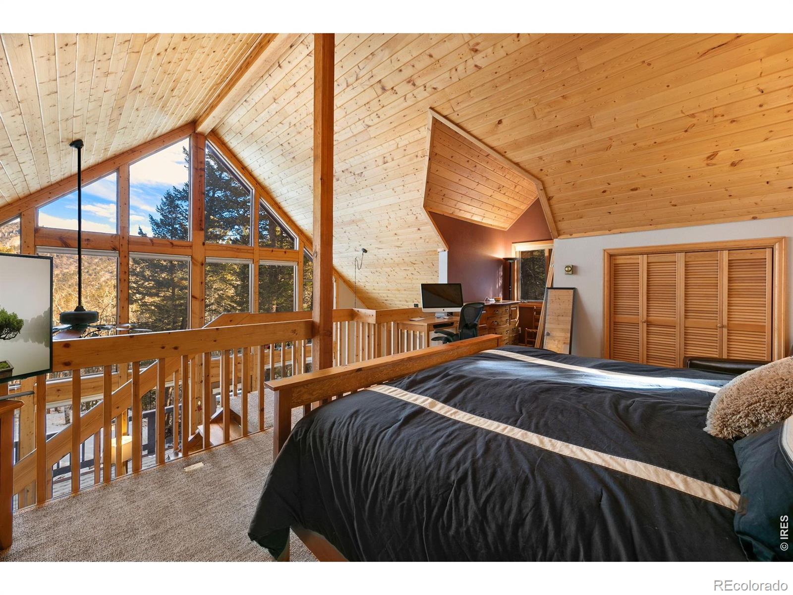 MLS Image #17 for 1655  black squirrel drive,estes park, Colorado