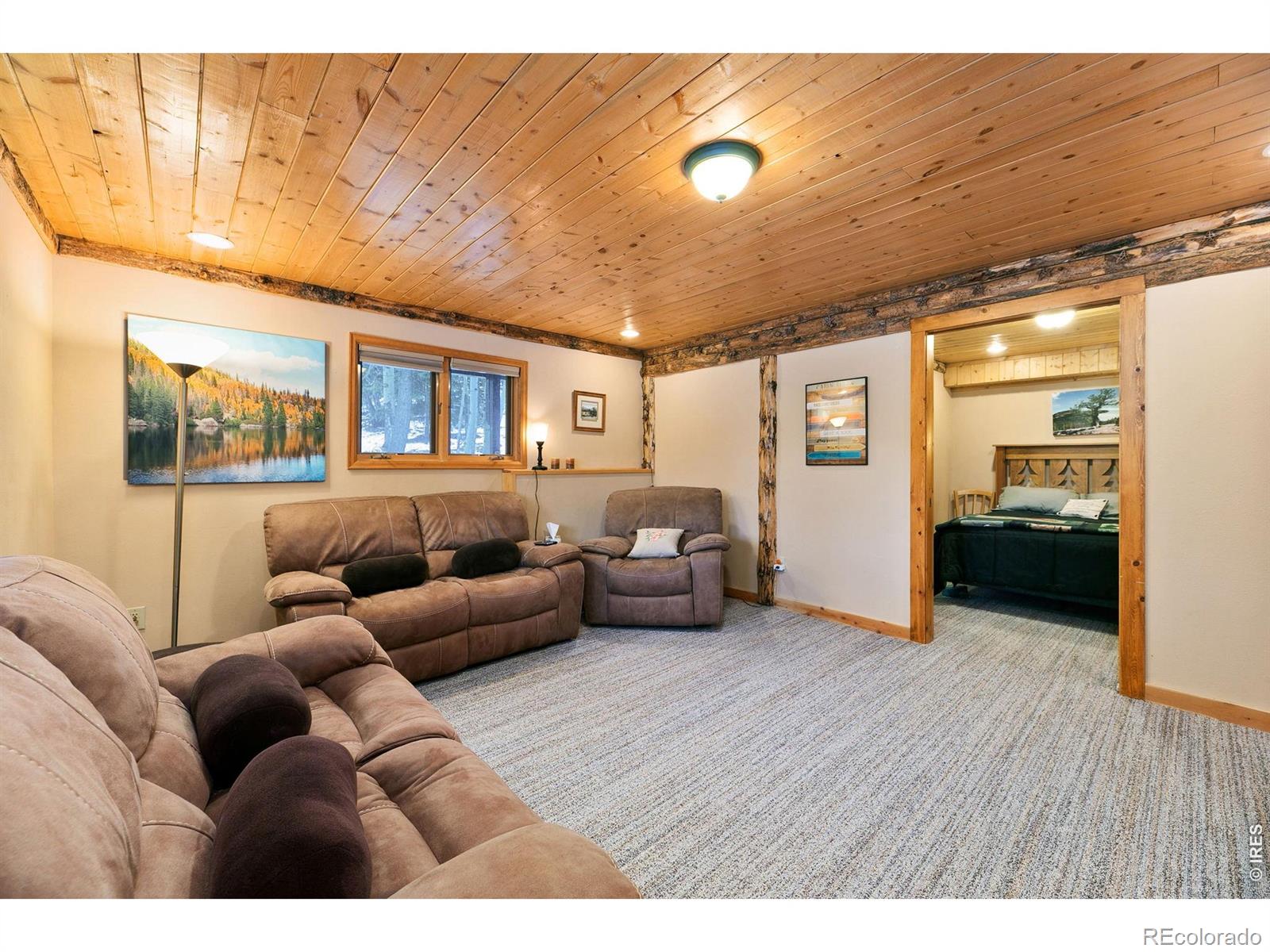 MLS Image #19 for 1655  black squirrel drive,estes park, Colorado