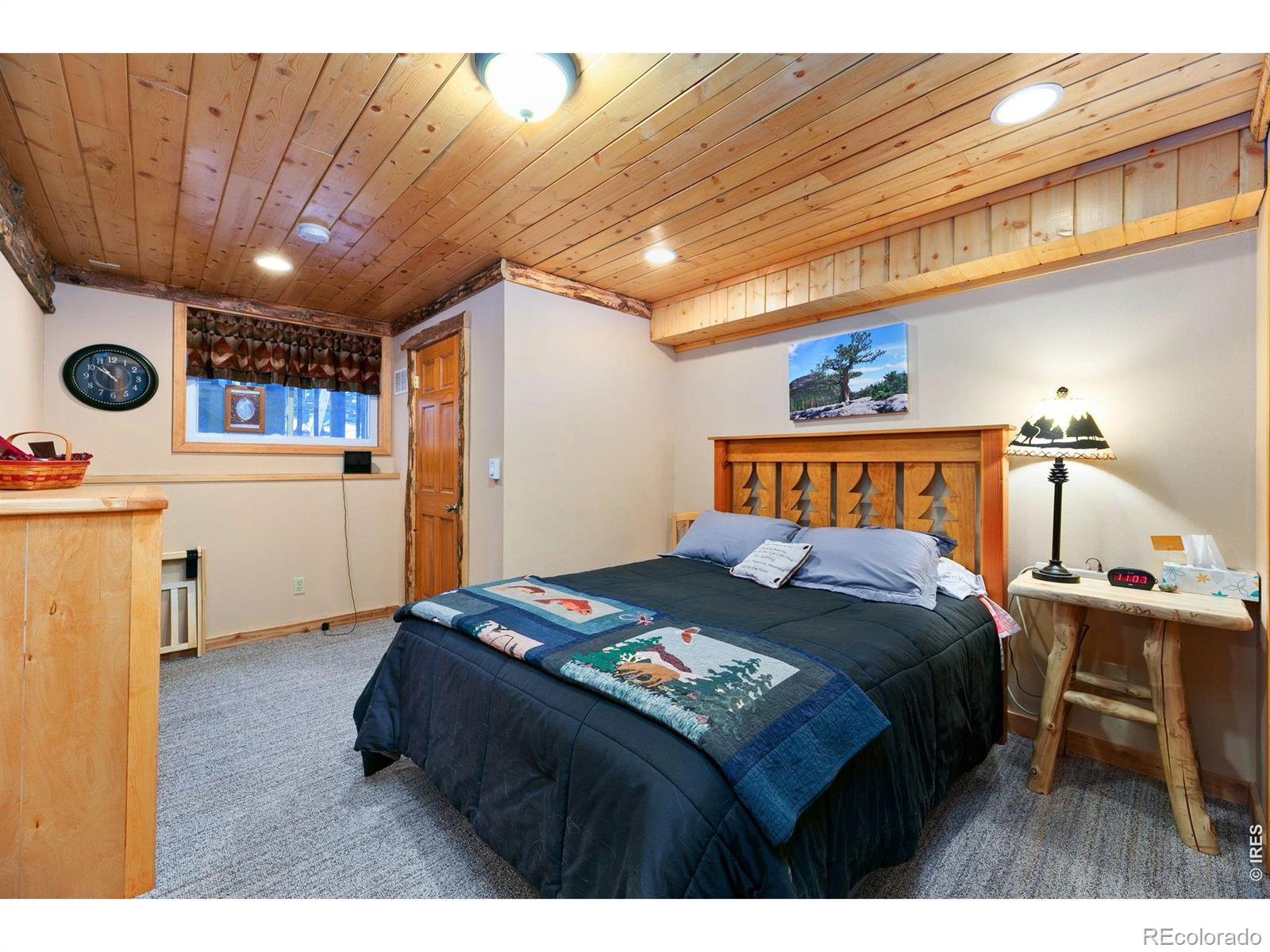 MLS Image #21 for 1655  black squirrel drive,estes park, Colorado