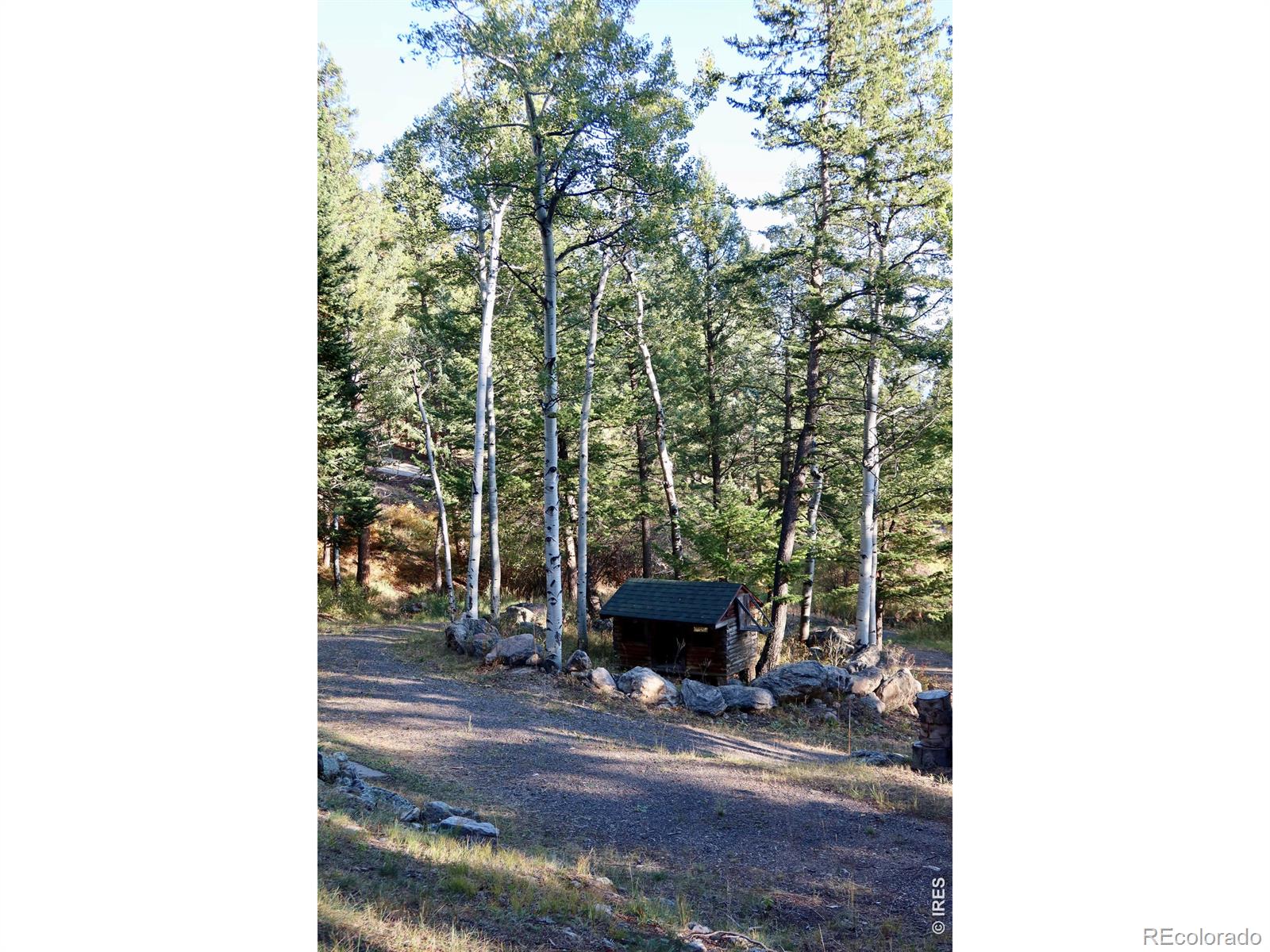 MLS Image #34 for 1655  black squirrel drive,estes park, Colorado