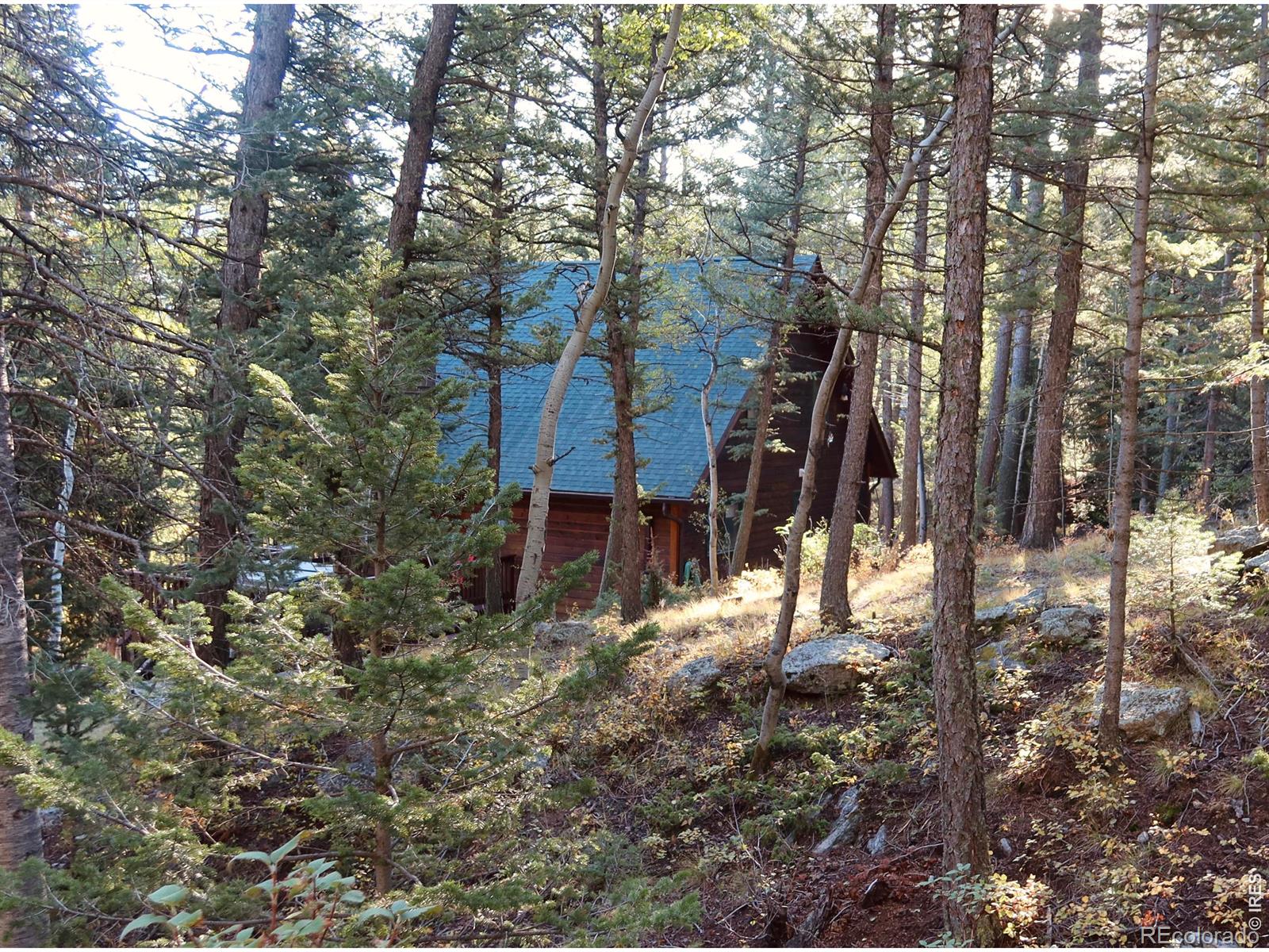 MLS Image #38 for 1655  black squirrel drive,estes park, Colorado