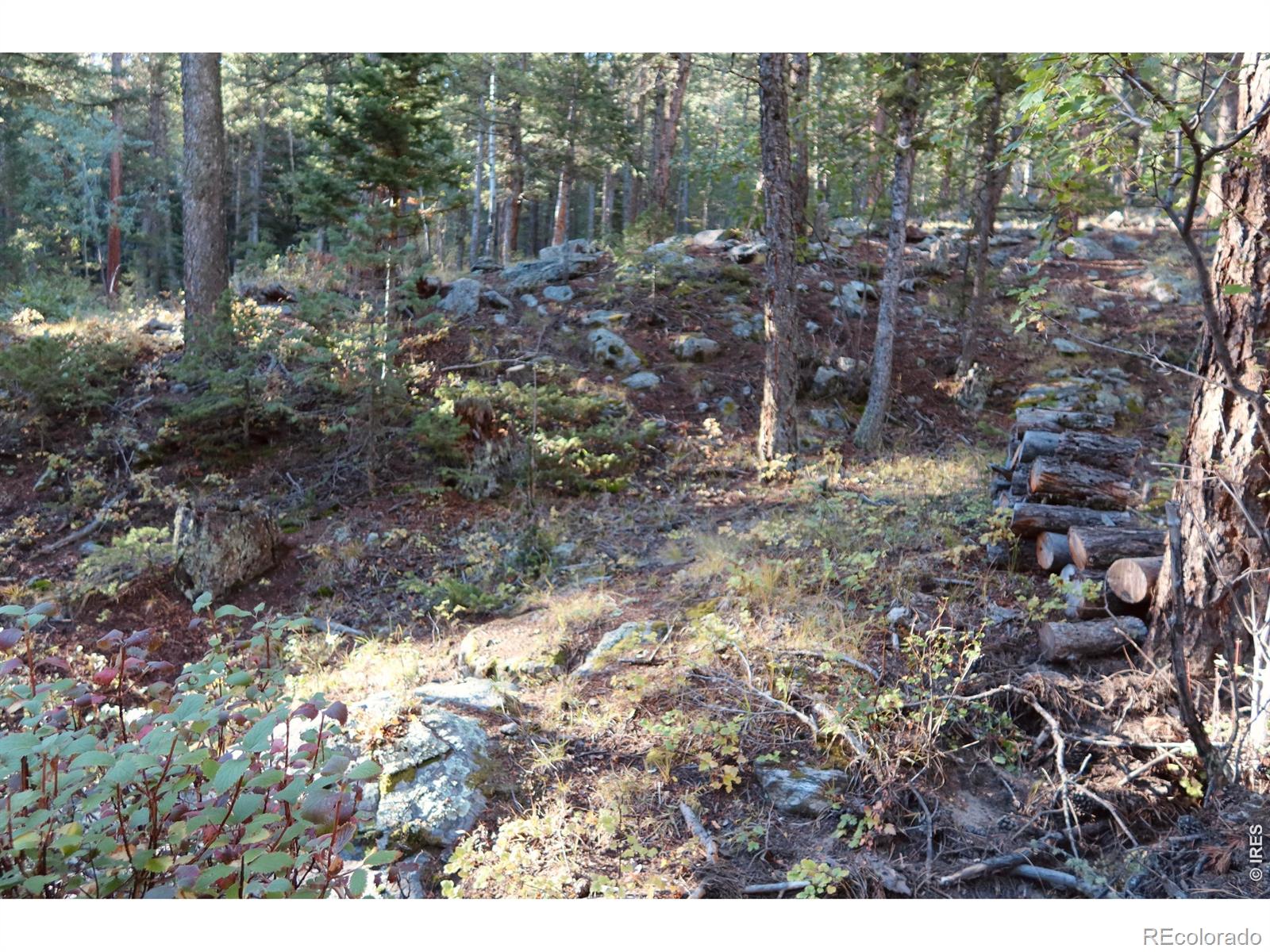 MLS Image #39 for 1655  black squirrel drive,estes park, Colorado