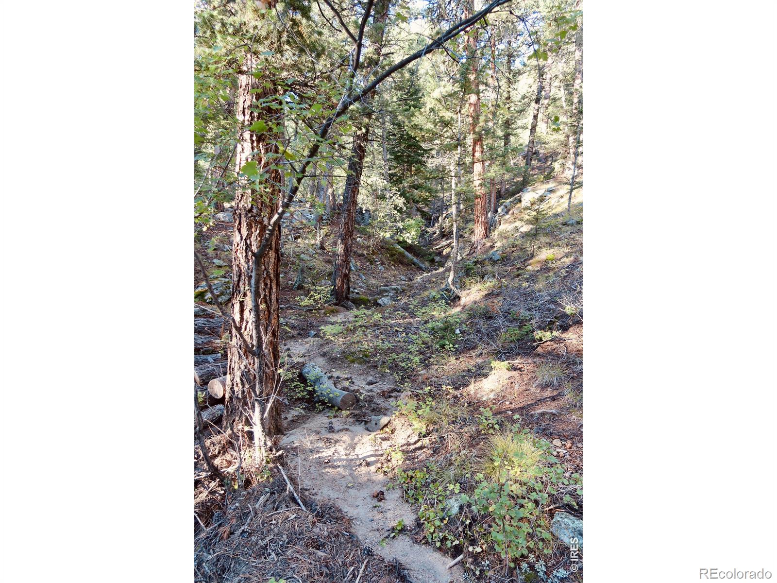MLS Image #40 for 1655  black squirrel drive,estes park, Colorado
