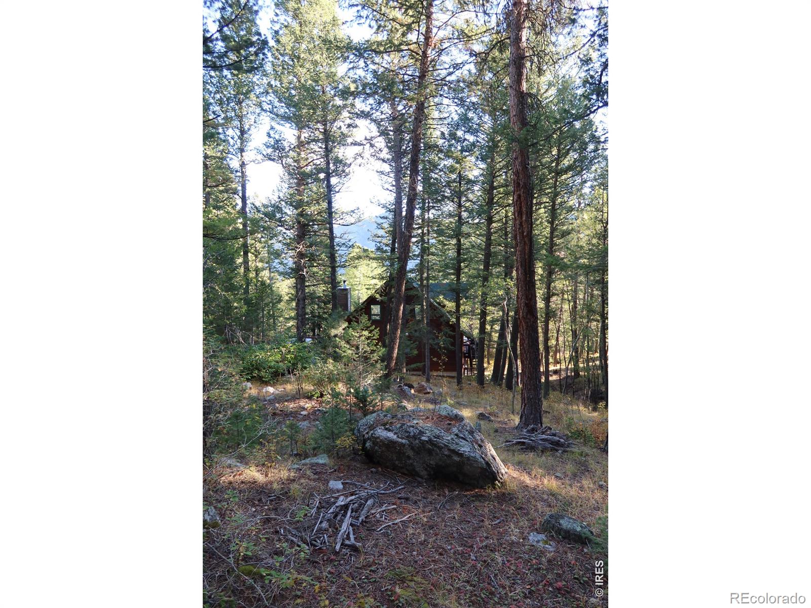 MLS Image #42 for 1655  black squirrel drive,estes park, Colorado