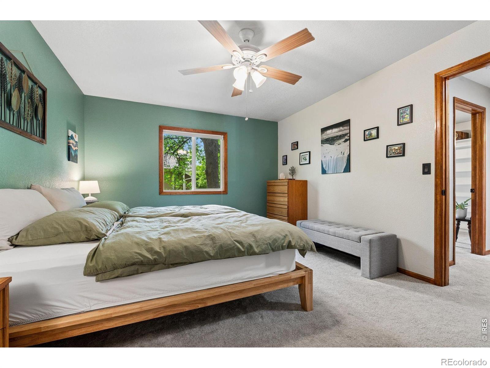 MLS Image #28 for 4503  hibiscus street,fort collins, Colorado