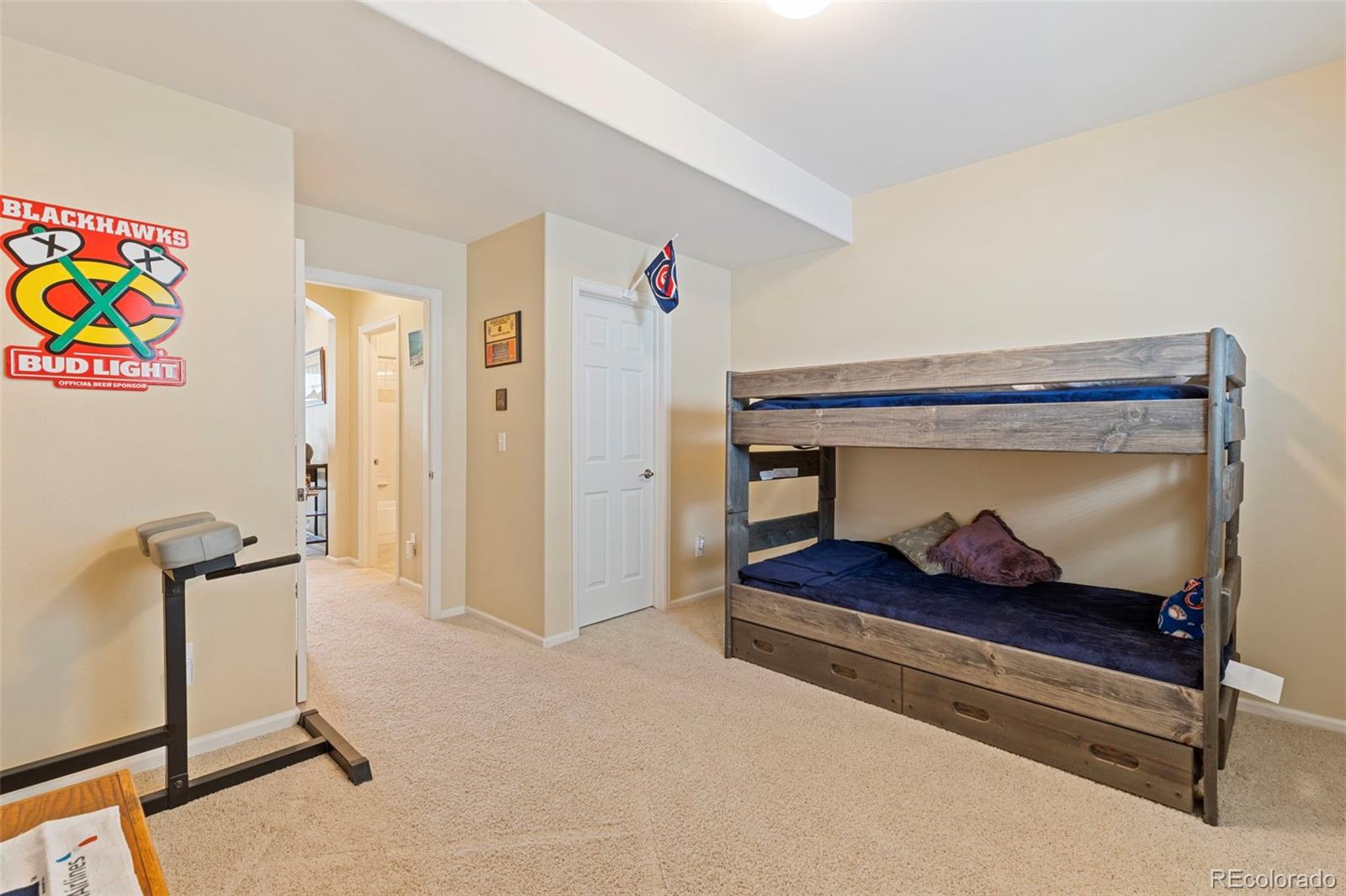 MLS Image #30 for 2724  thrush grove,colorado springs, Colorado