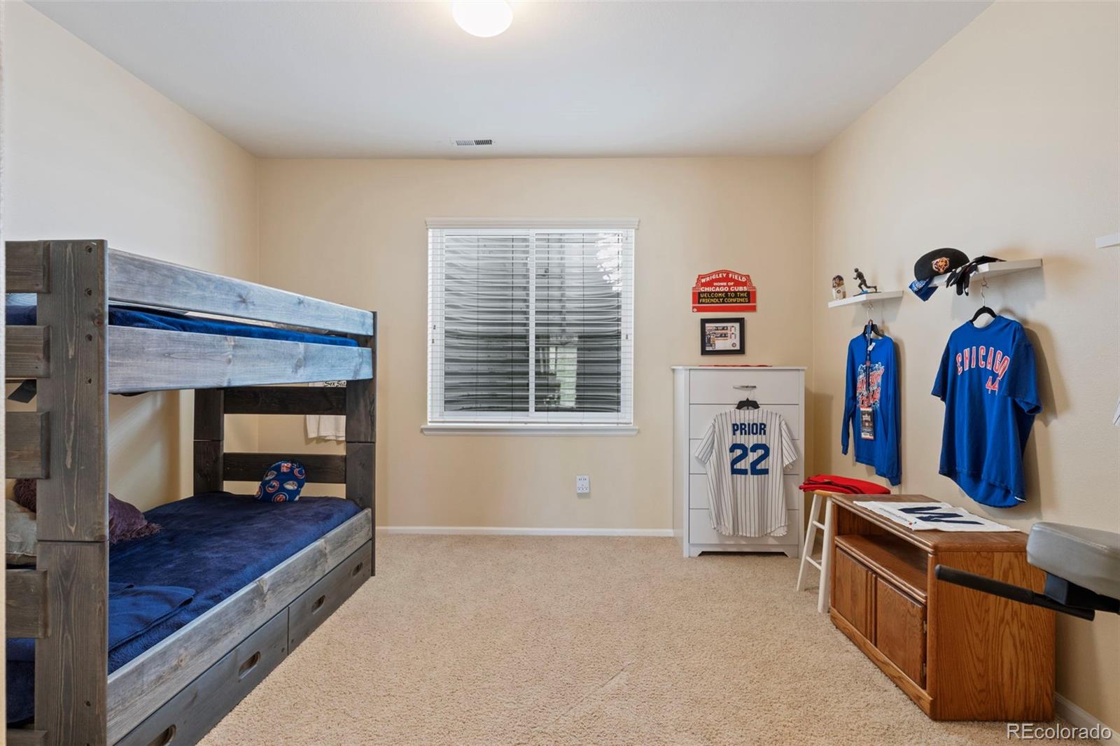 MLS Image #31 for 2724  thrush grove,colorado springs, Colorado