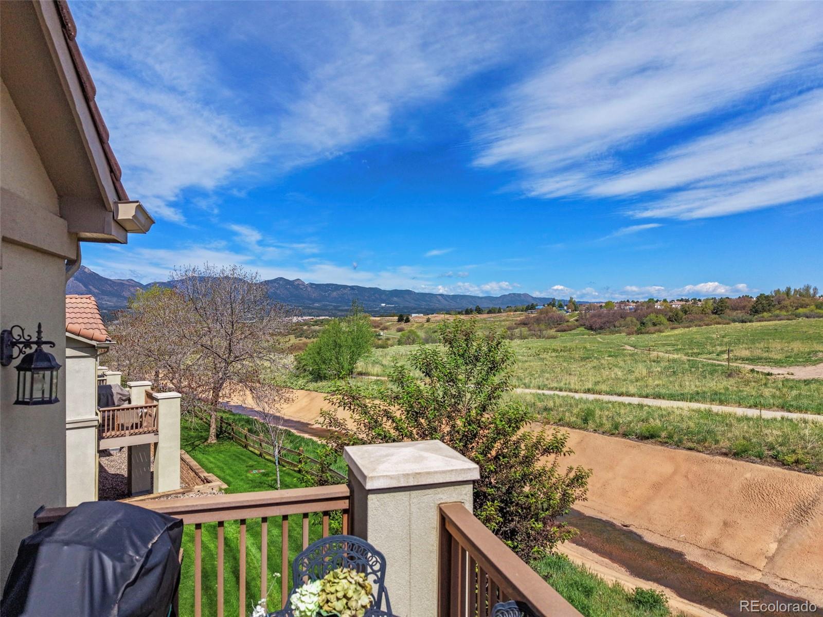 MLS Image #45 for 2724  thrush grove,colorado springs, Colorado