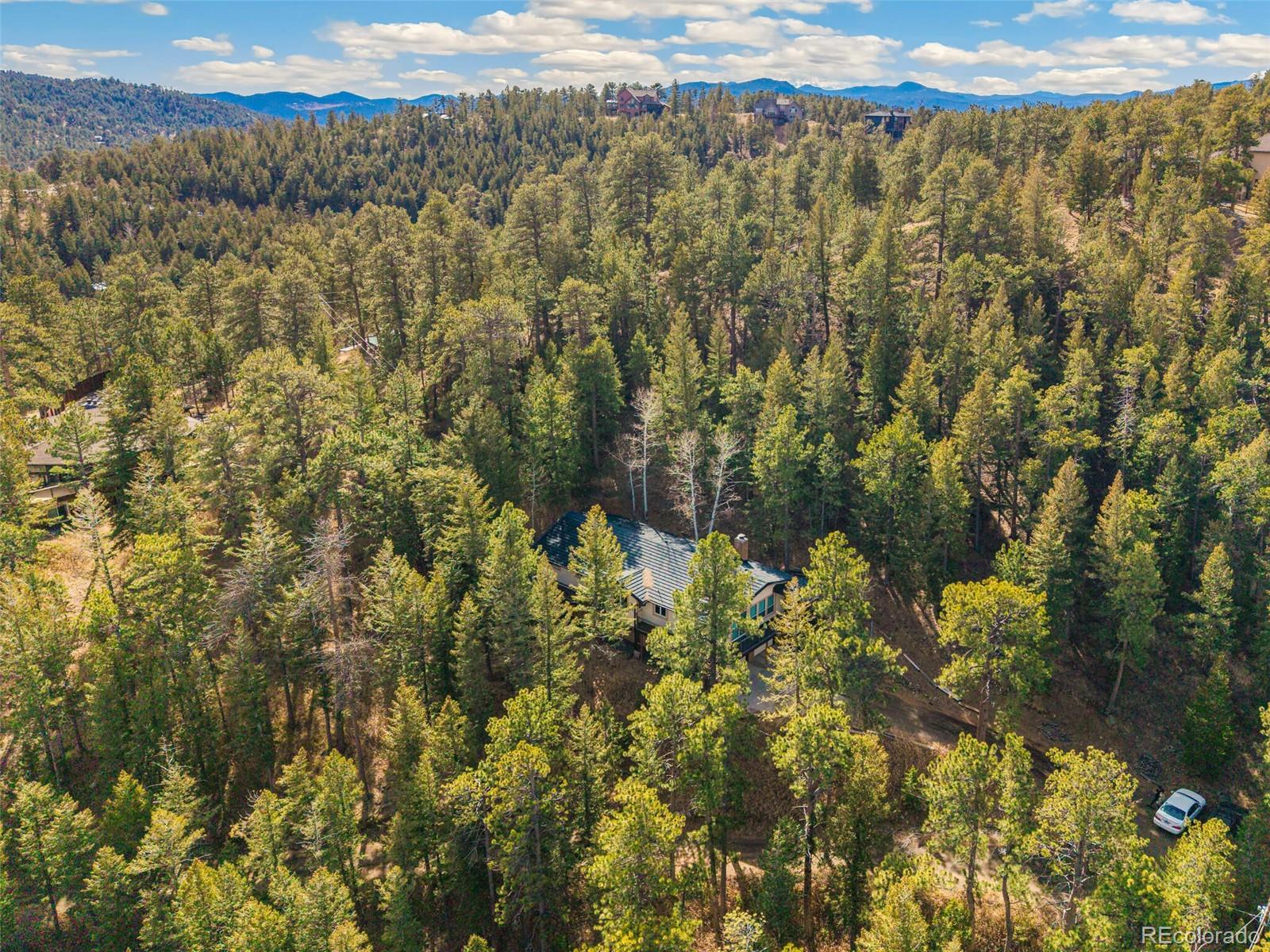 MLS Image #10 for 29130  upper moss rock road,golden, Colorado