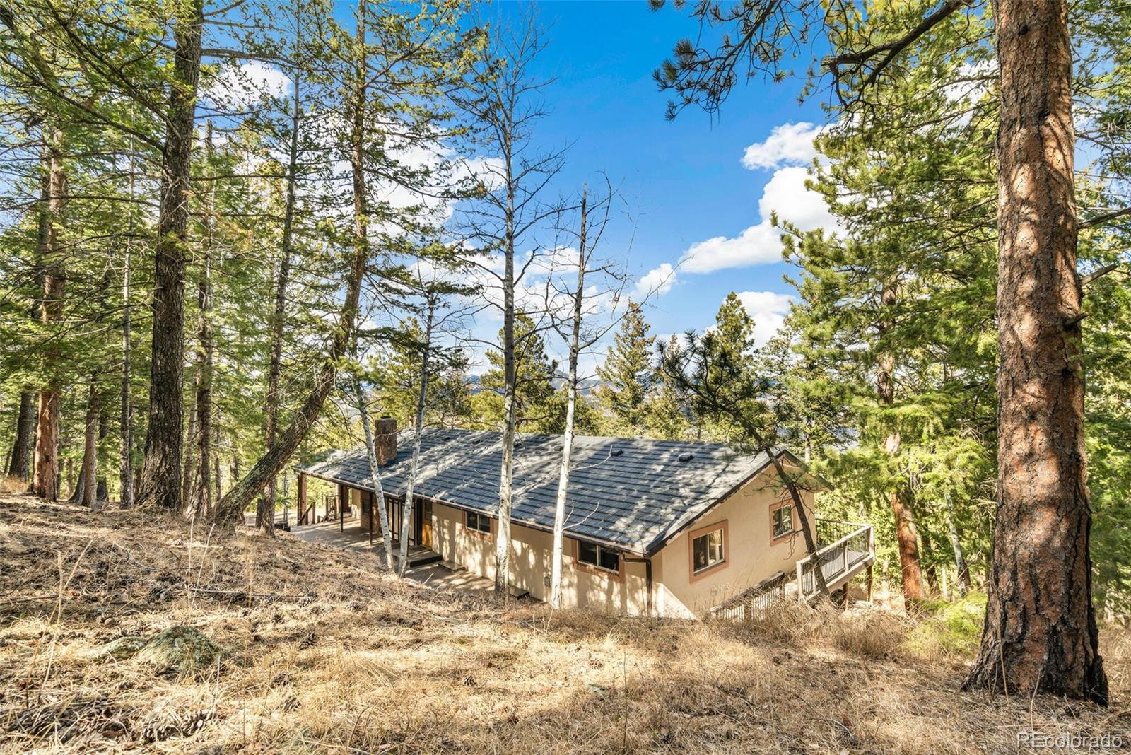 MLS Image #44 for 29130  upper moss rock road,golden, Colorado