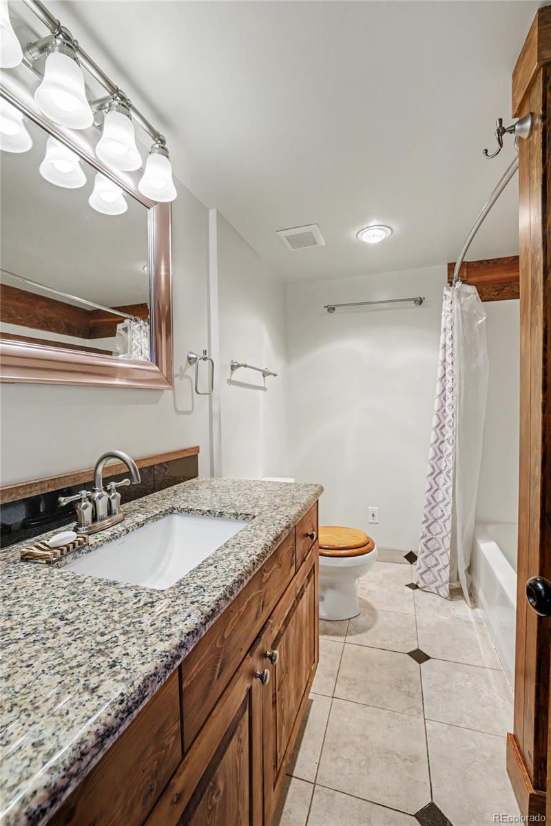 MLS Image #21 for 134 w 8th street,leadville, Colorado