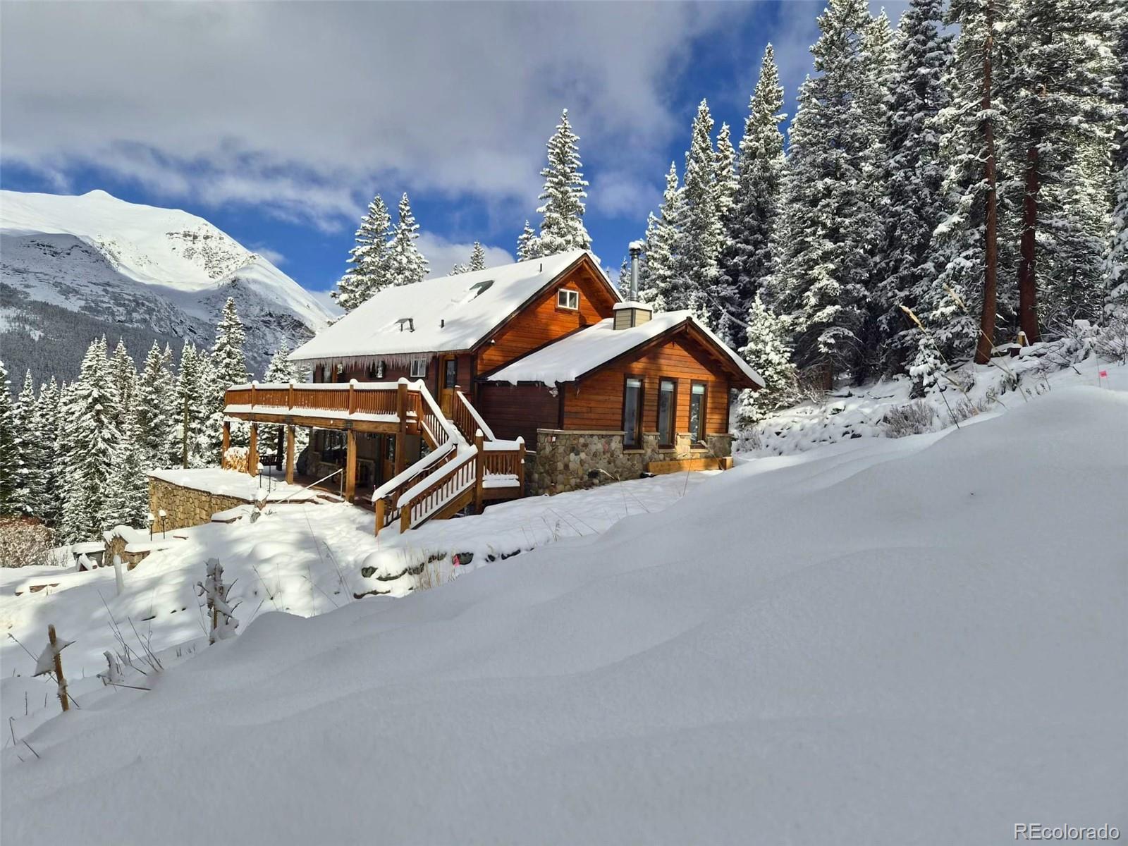 MLS Image #1 for 232  goldfinch place,alma, Colorado