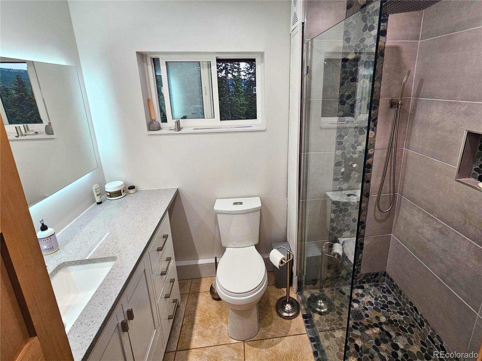 MLS Image #14 for 232  goldfinch place,alma, Colorado