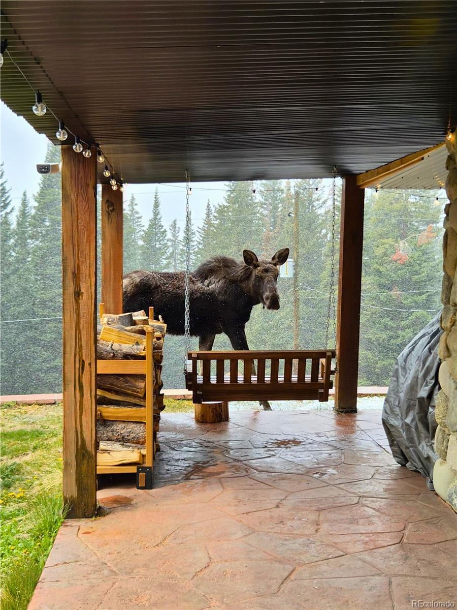 MLS Image #39 for 232  goldfinch place,alma, Colorado
