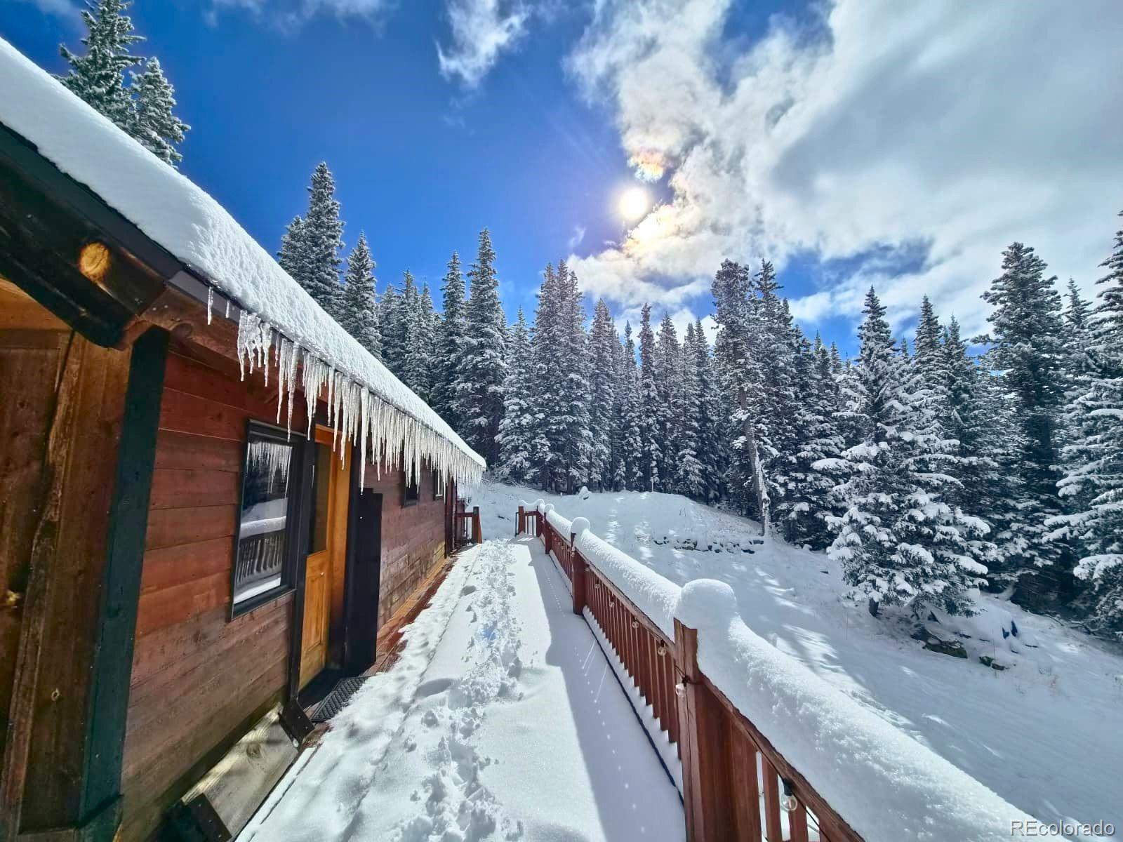 MLS Image #44 for 232  goldfinch place,alma, Colorado
