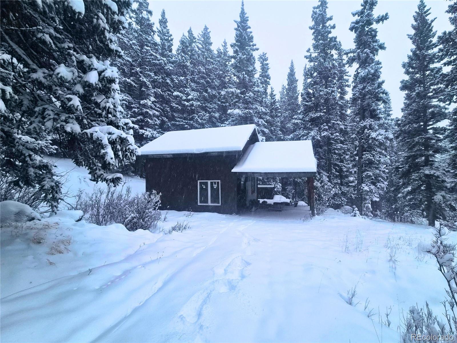 MLS Image #47 for 232  goldfinch place,alma, Colorado