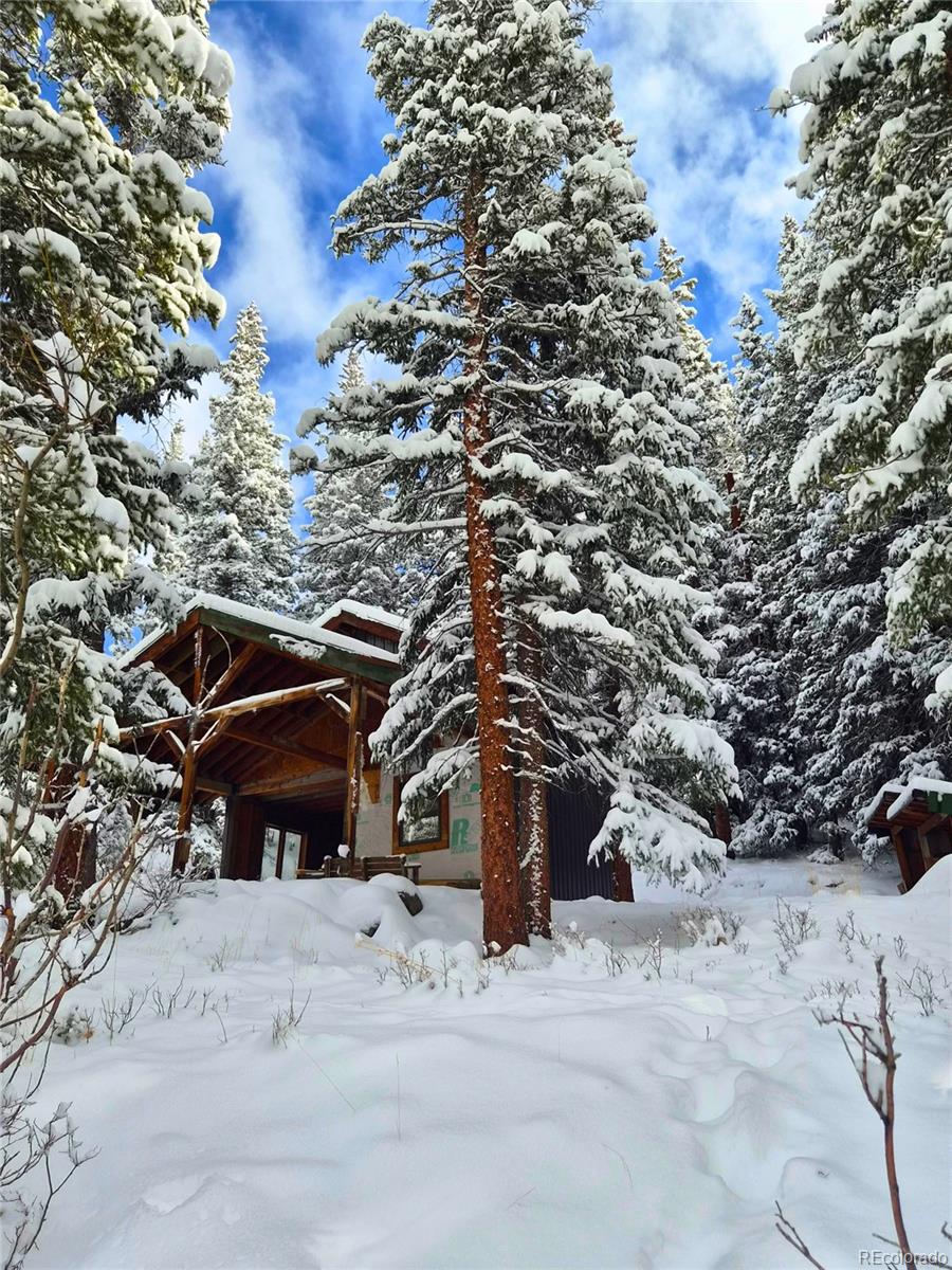MLS Image #49 for 232  goldfinch place,alma, Colorado