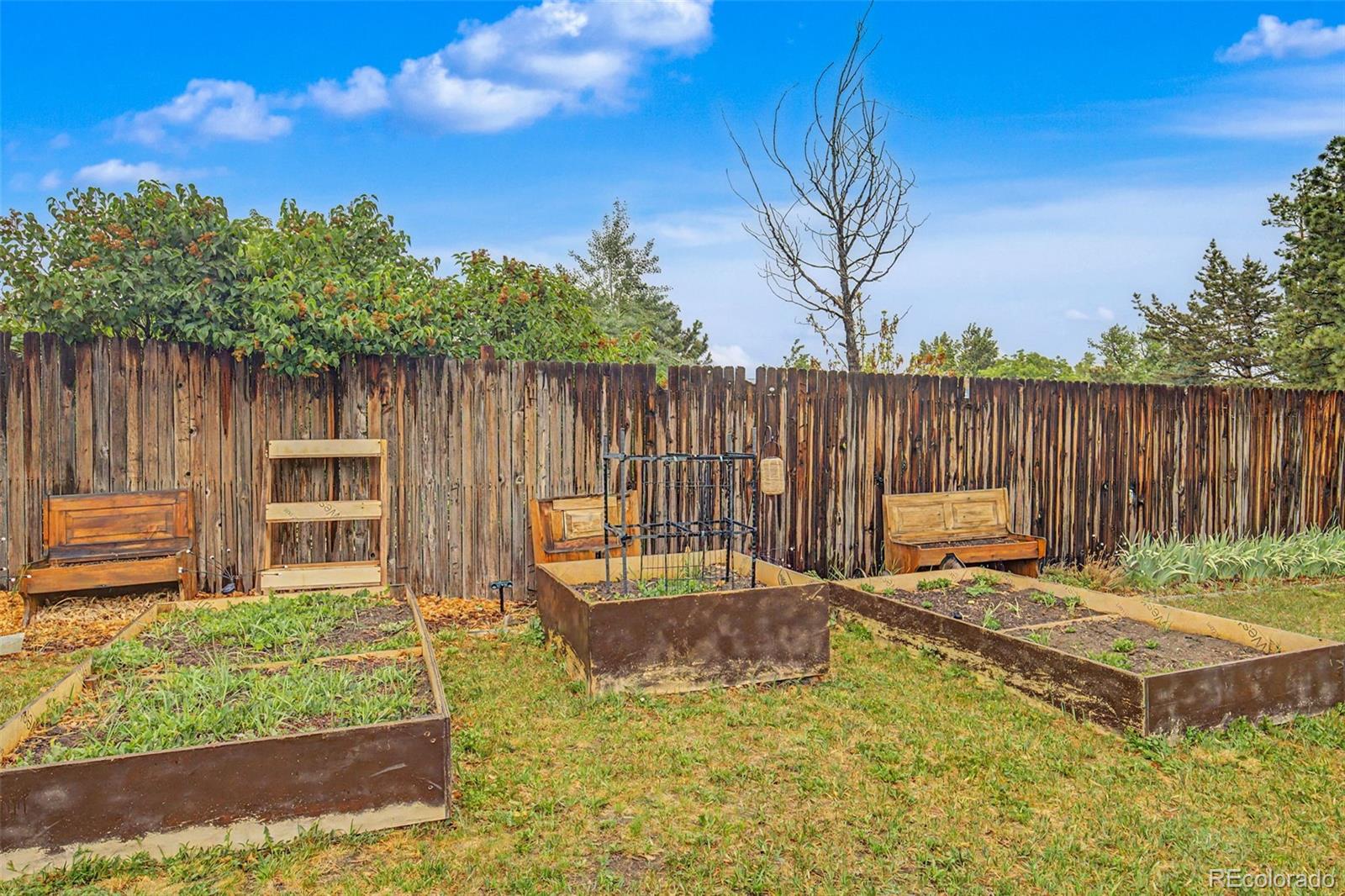 MLS Image #31 for 4664 s garland way,littleton, Colorado