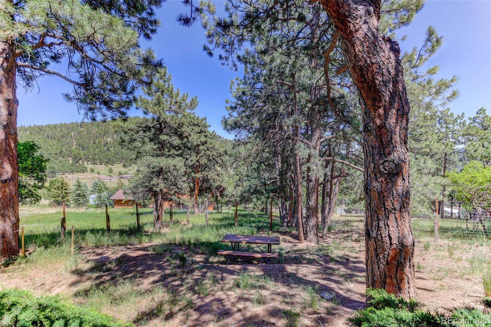 MLS Image #49 for 6417  high drive,morrison, Colorado