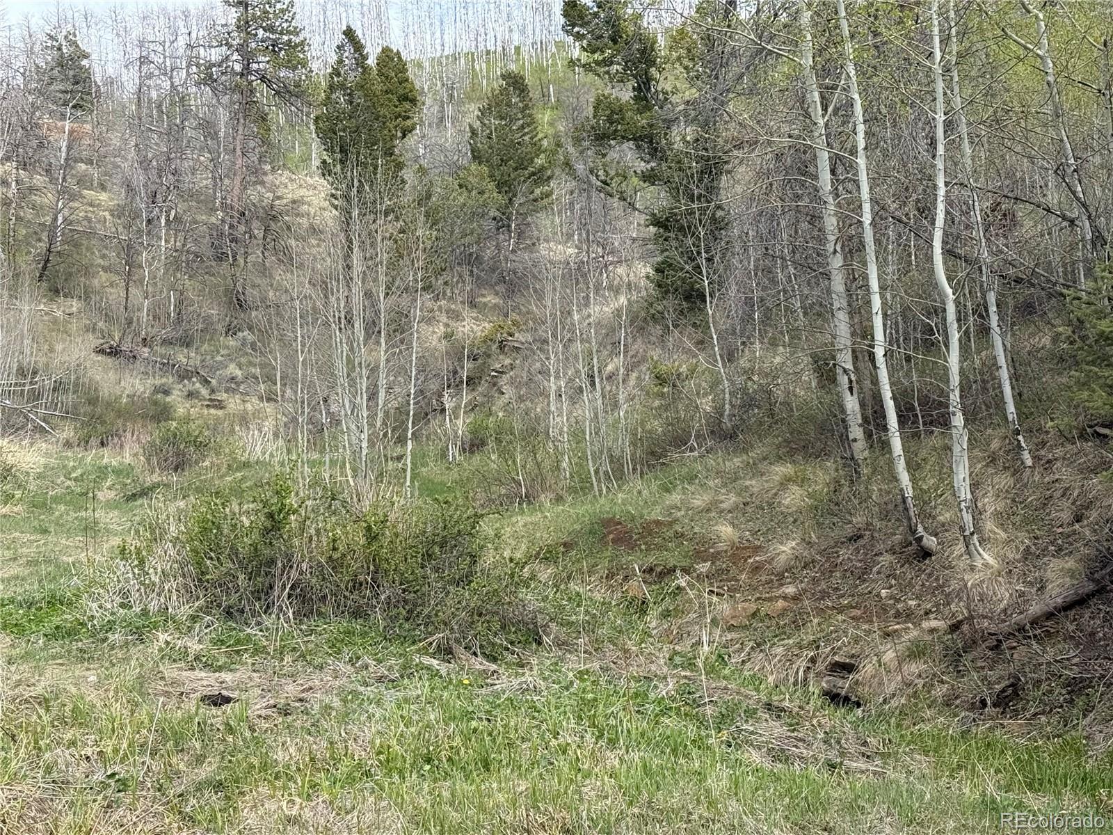MLS Image #46 for 406-449  schierl road,fort garland, Colorado