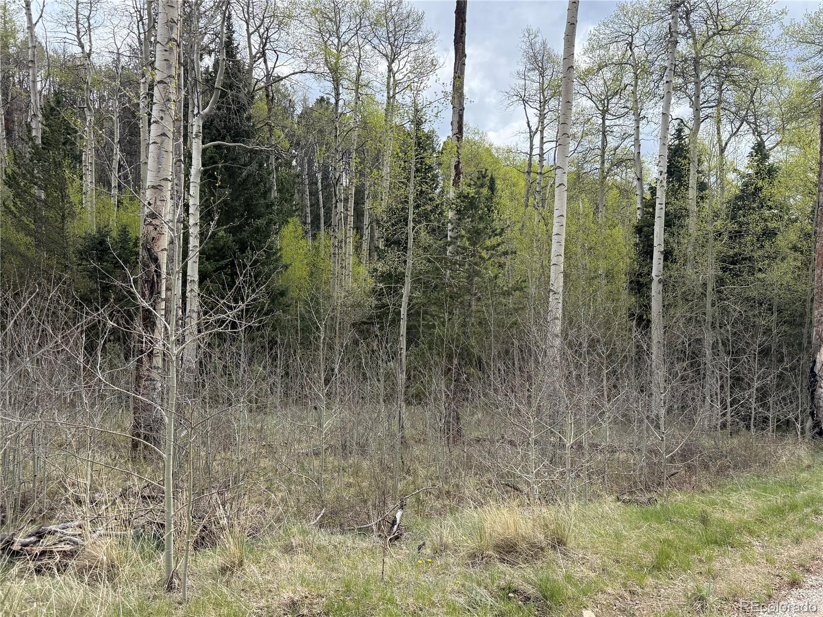 MLS Image #49 for 406-449  schierl road,fort garland, Colorado