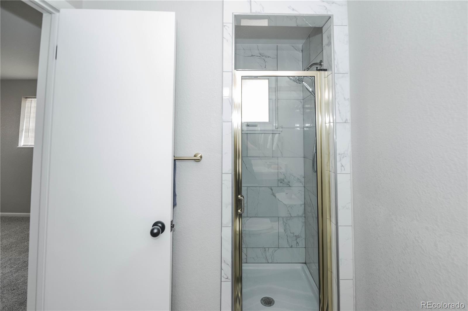 MLS Image #19 for 265  coral way,broomfield, Colorado