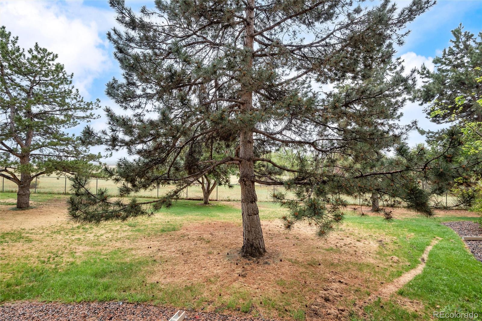MLS Image #19 for 14300 e marina drive,aurora, Colorado