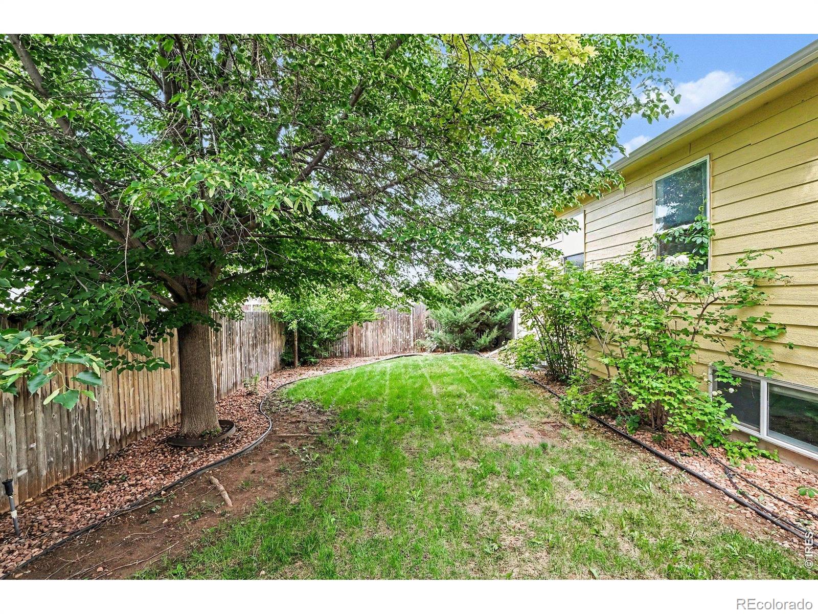 MLS Image #29 for 1507  51st avenue,greeley, Colorado