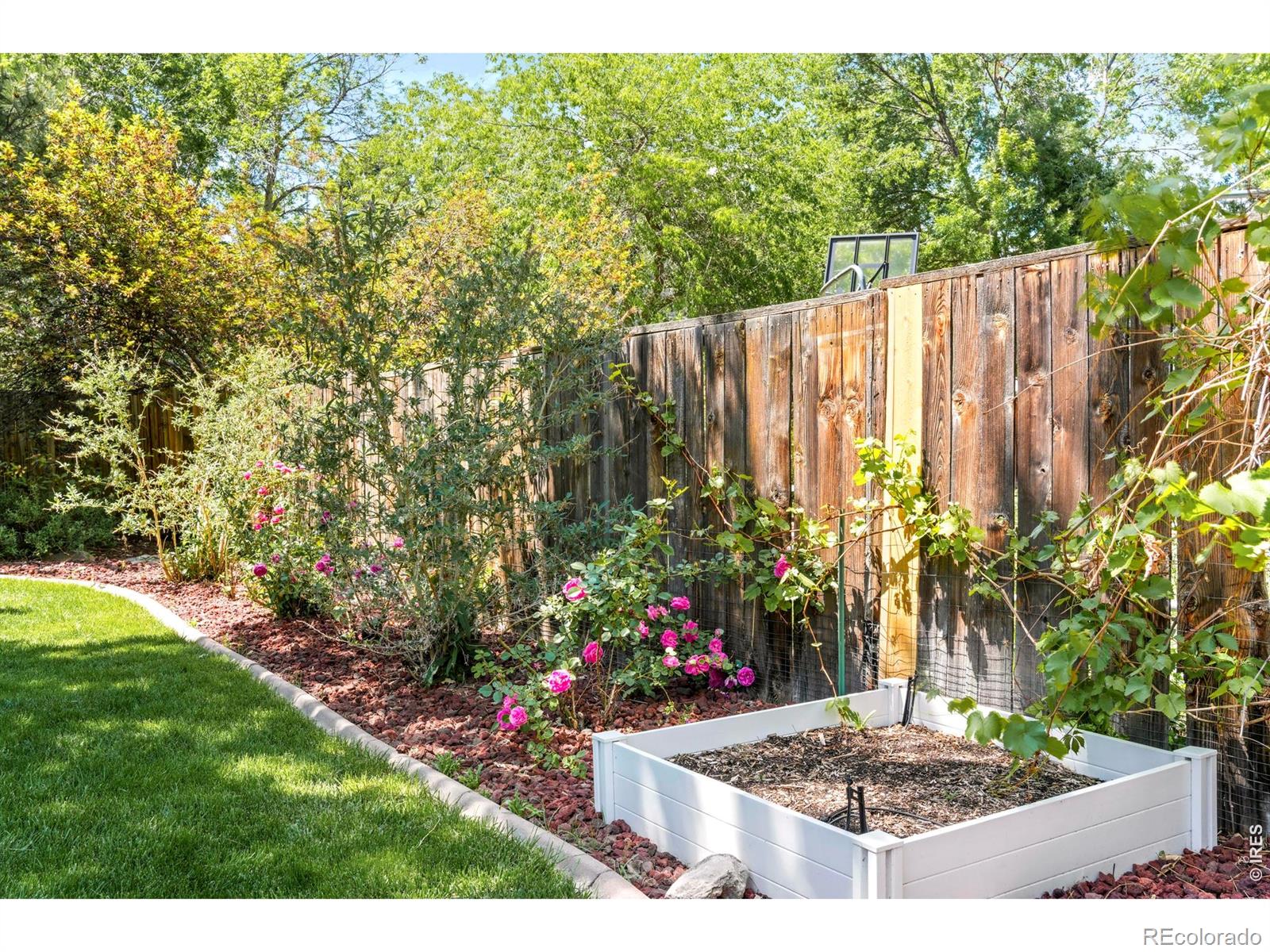 MLS Image #34 for 4501  cliffside court,fort collins, Colorado