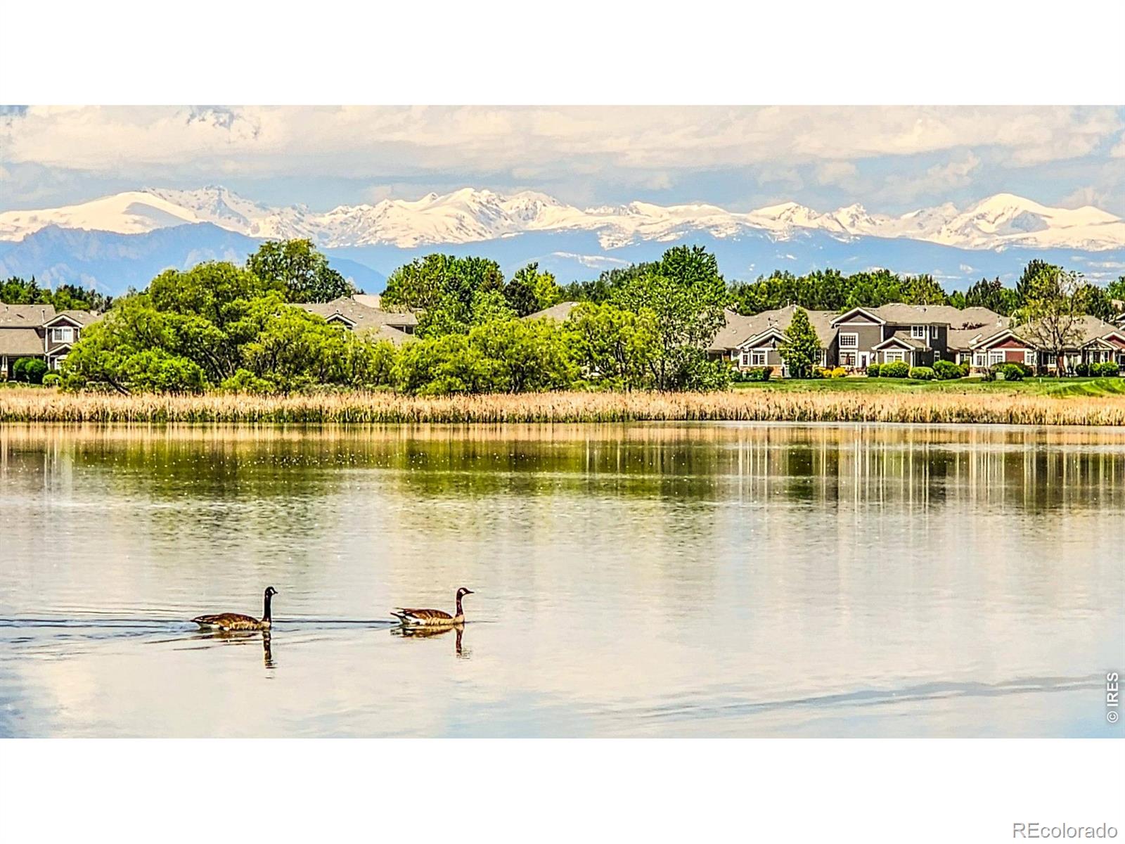 MLS Image #23 for 13662  boulder point,broomfield, Colorado