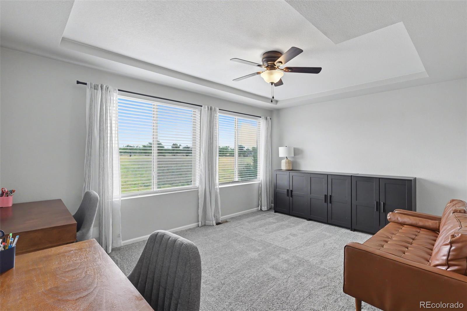 MLS Image #13 for 7856  luminary lane,fountain, Colorado
