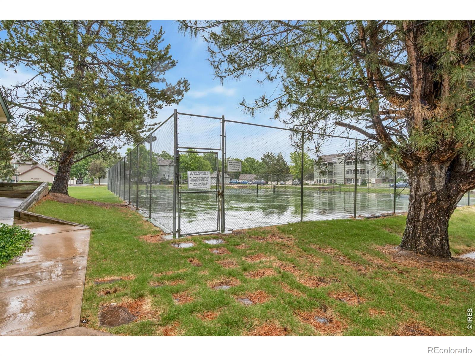 MLS Image #31 for 2828  silverplume drive,fort collins, Colorado