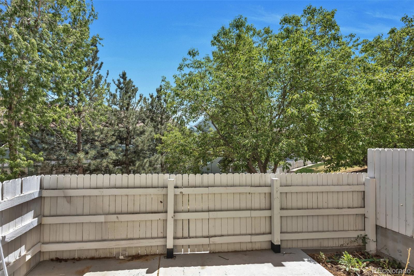 MLS Image #18 for 8199  welby road,denver, Colorado