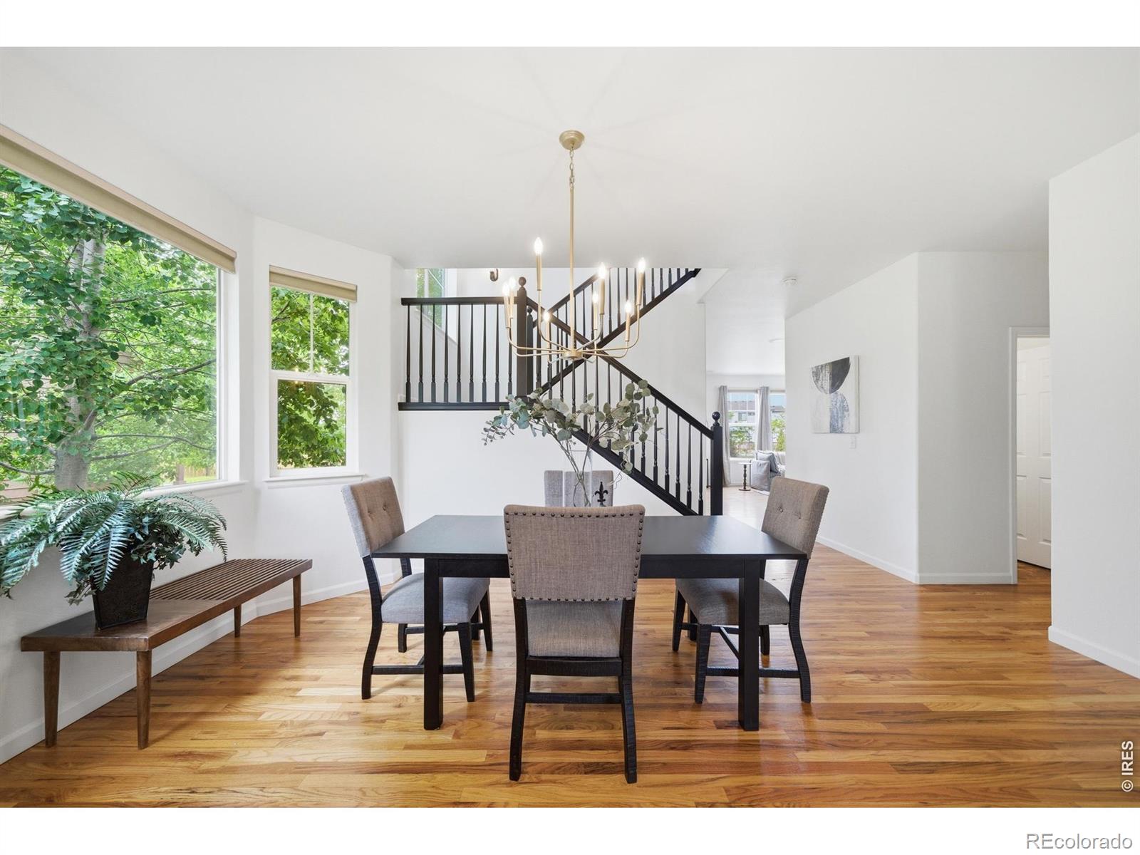 MLS Image #12 for 5381  carriage hill court,timnath, Colorado