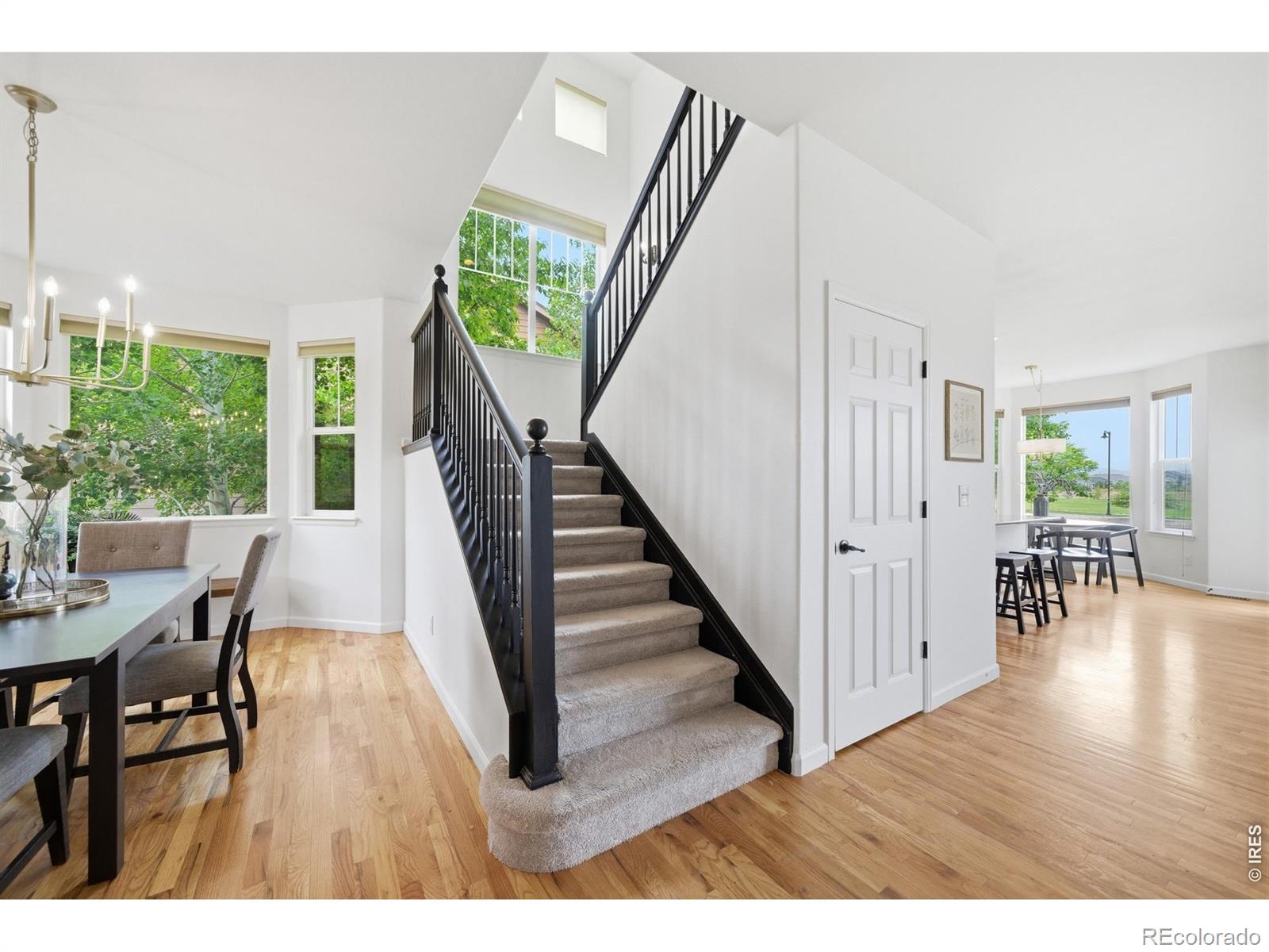 MLS Image #13 for 5381  carriage hill court,timnath, Colorado