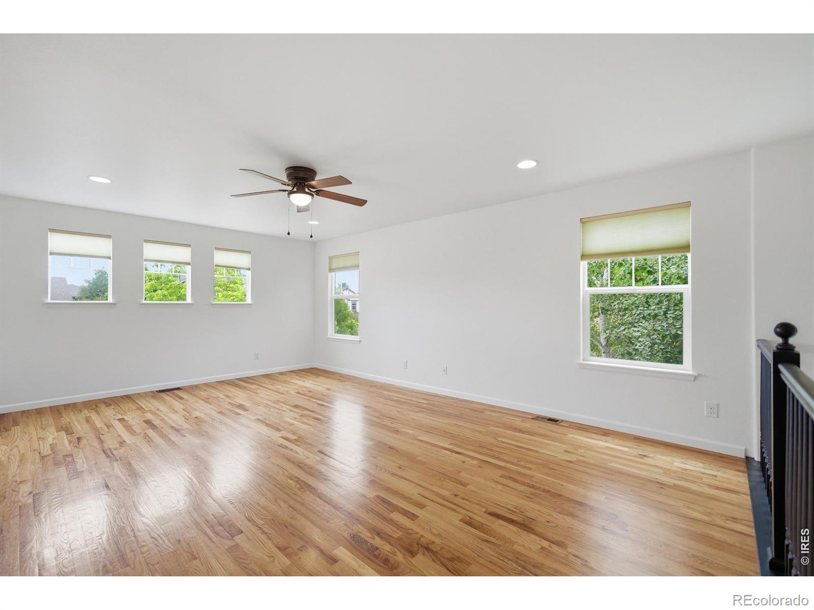 MLS Image #15 for 5381  carriage hill court,timnath, Colorado