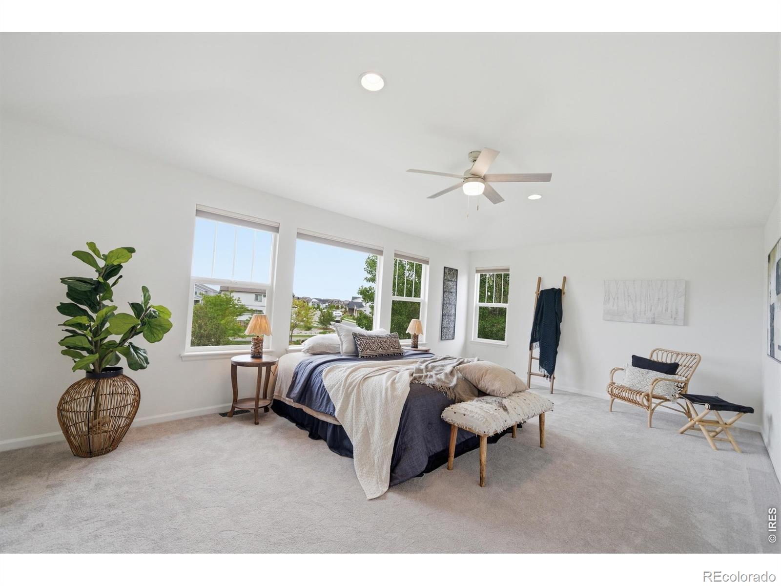 MLS Image #16 for 5381  carriage hill court,timnath, Colorado