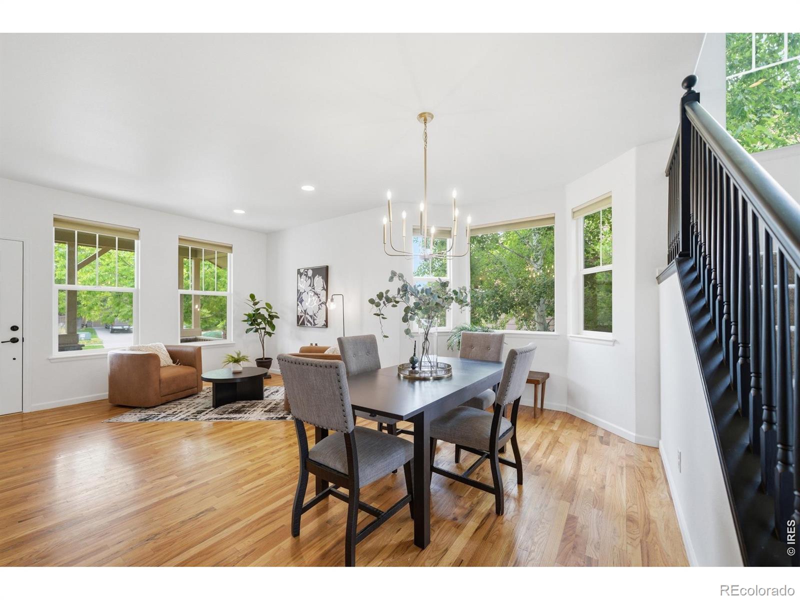 MLS Image #3 for 5381  carriage hill court,timnath, Colorado