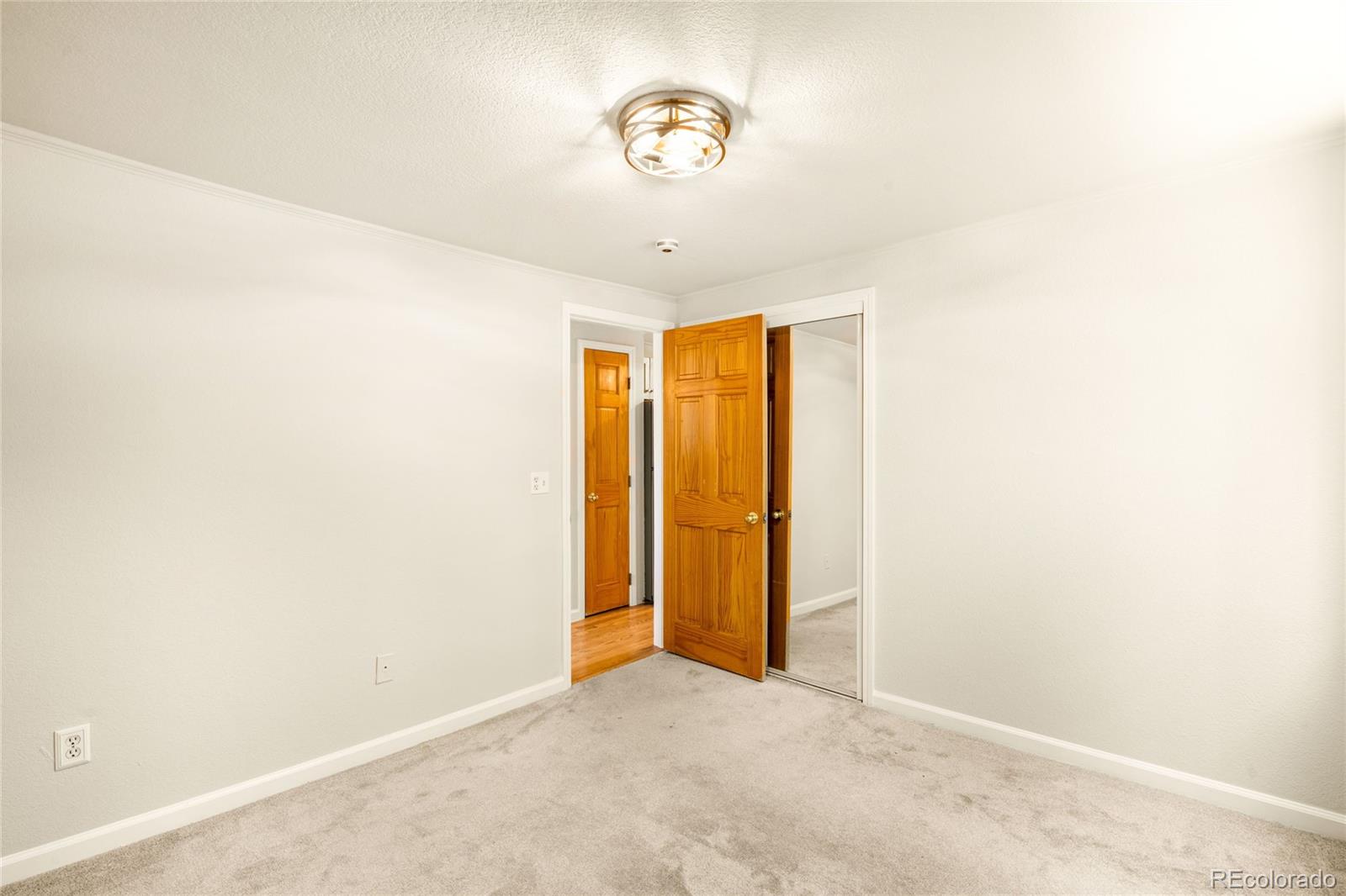 MLS Image #12 for 336 n grant street,denver, Colorado