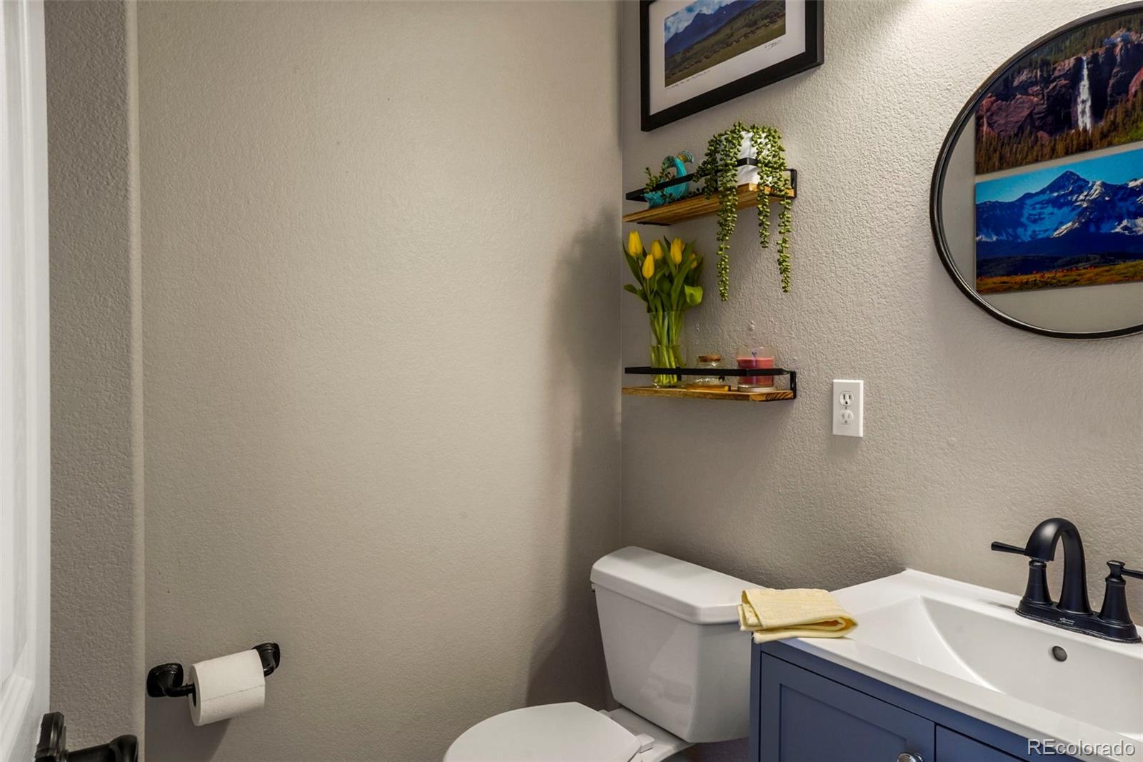 MLS Image #18 for 10850  willow reed circle,parker, Colorado