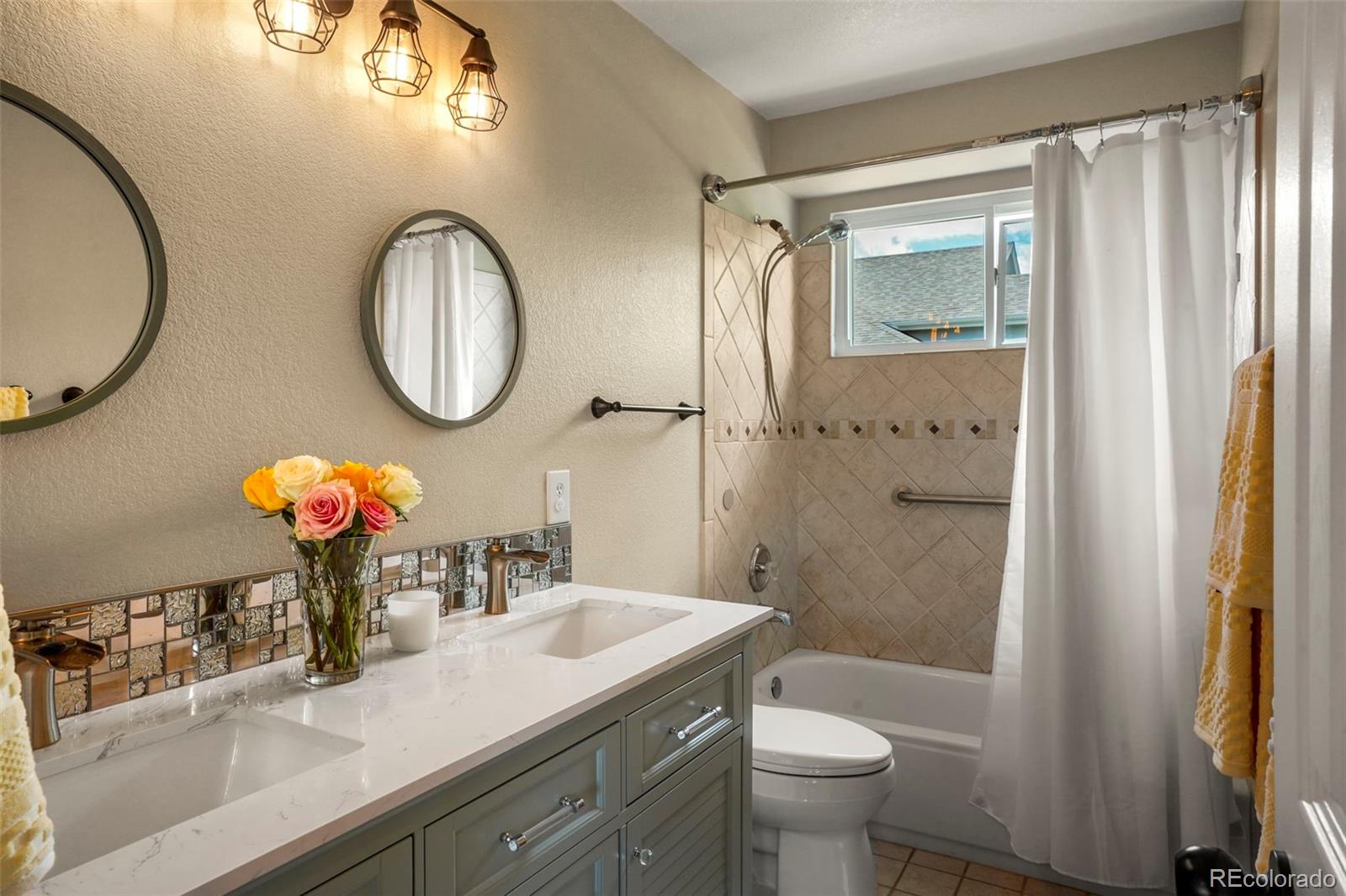 MLS Image #29 for 10850  willow reed circle,parker, Colorado