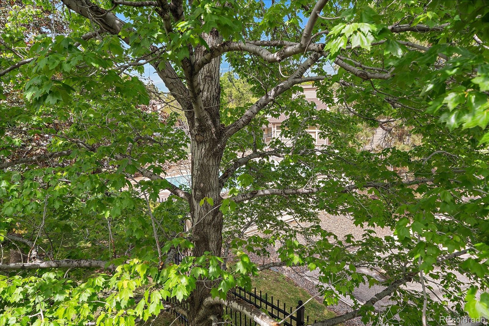 MLS Image #18 for 10293 e peakview avenue,englewood, Colorado