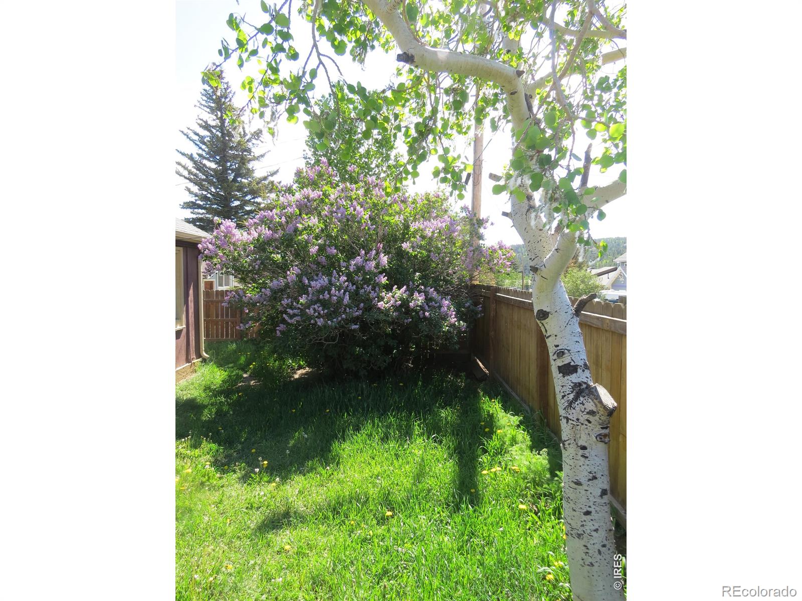 MLS Image #5 for 135 e 2nd street,nederland, Colorado