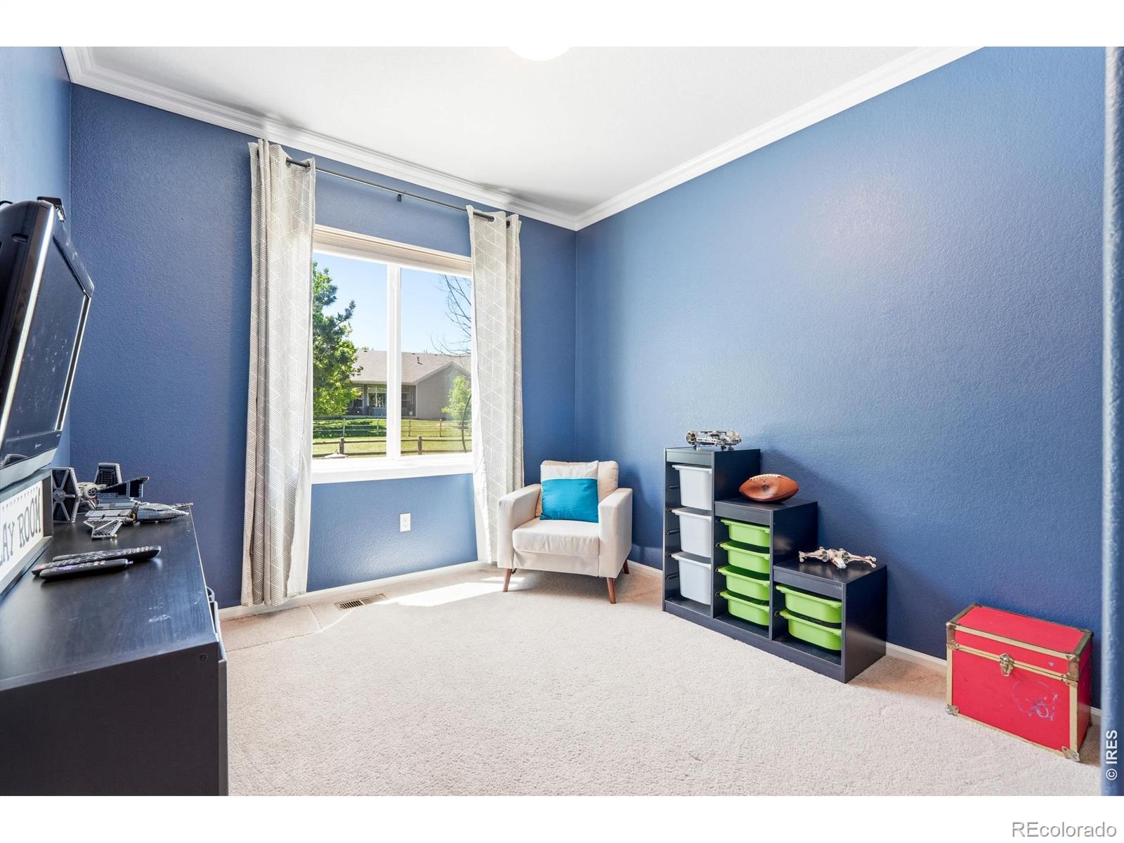 MLS Image #18 for 11725  pleasant hill,longmont, Colorado