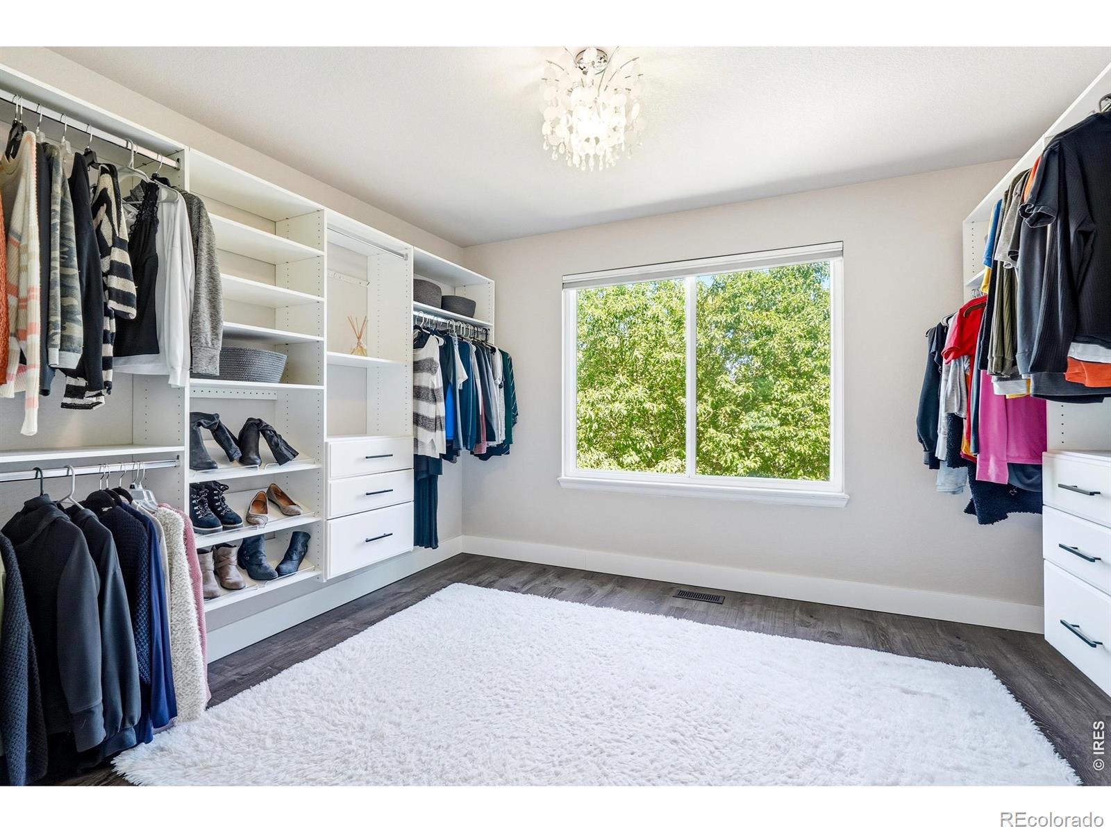 MLS Image #29 for 11725  pleasant hill,longmont, Colorado