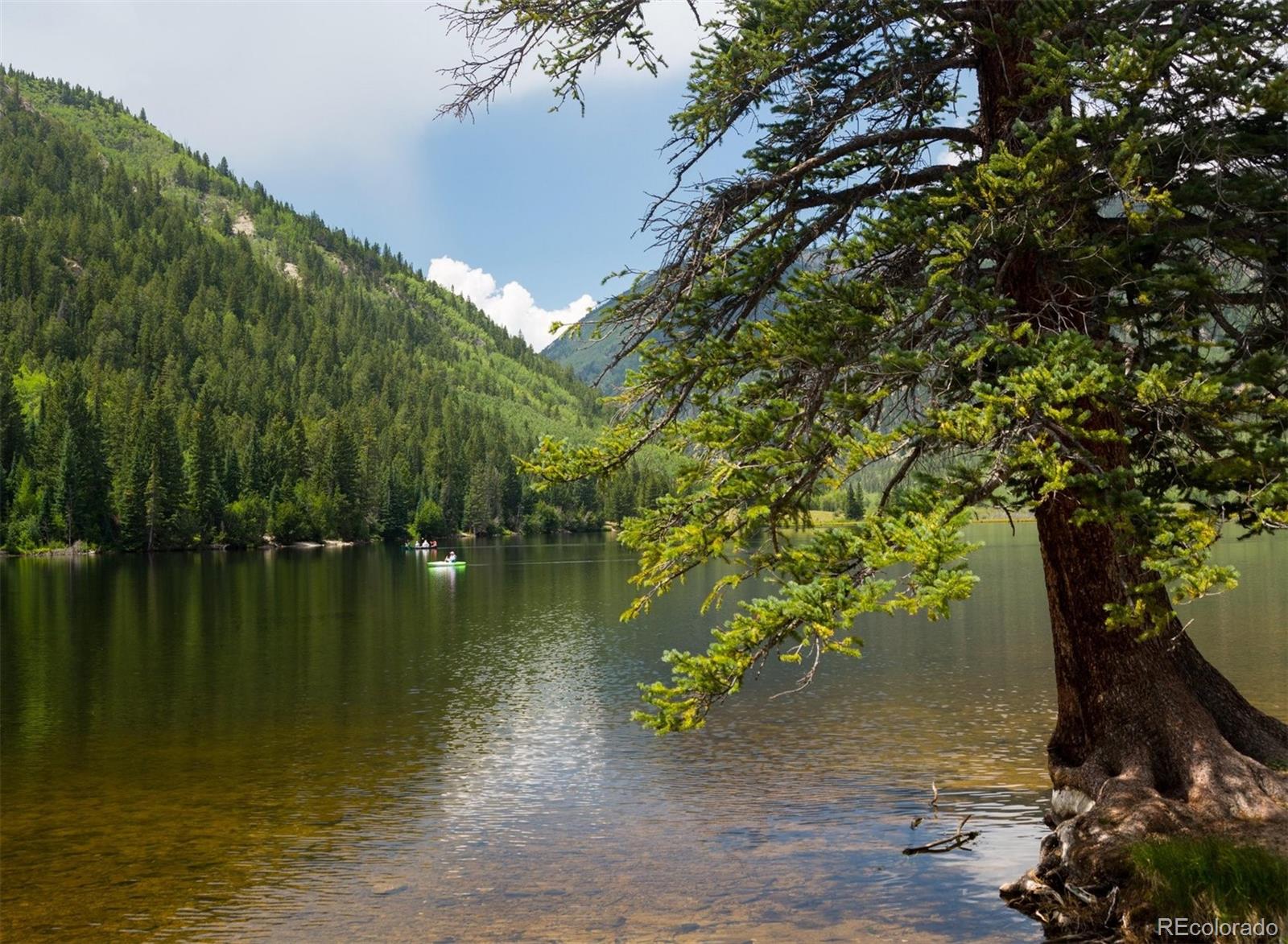 MLS Image #35 for 565  park lane,buena vista, Colorado